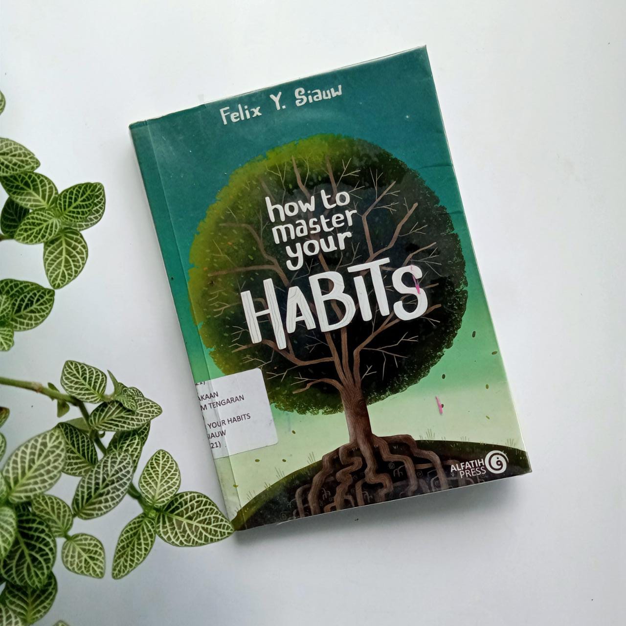 Sampul buku HOW TO MASTER YOUR HABITS