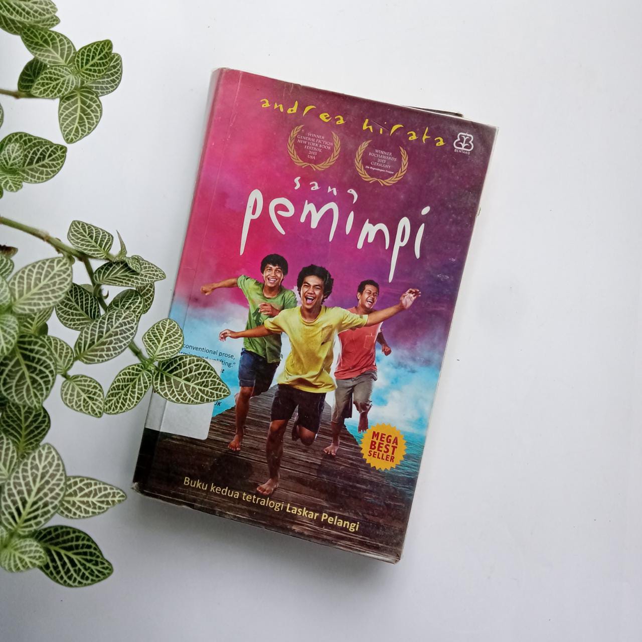 Sampul buku SANG PEMIMPI