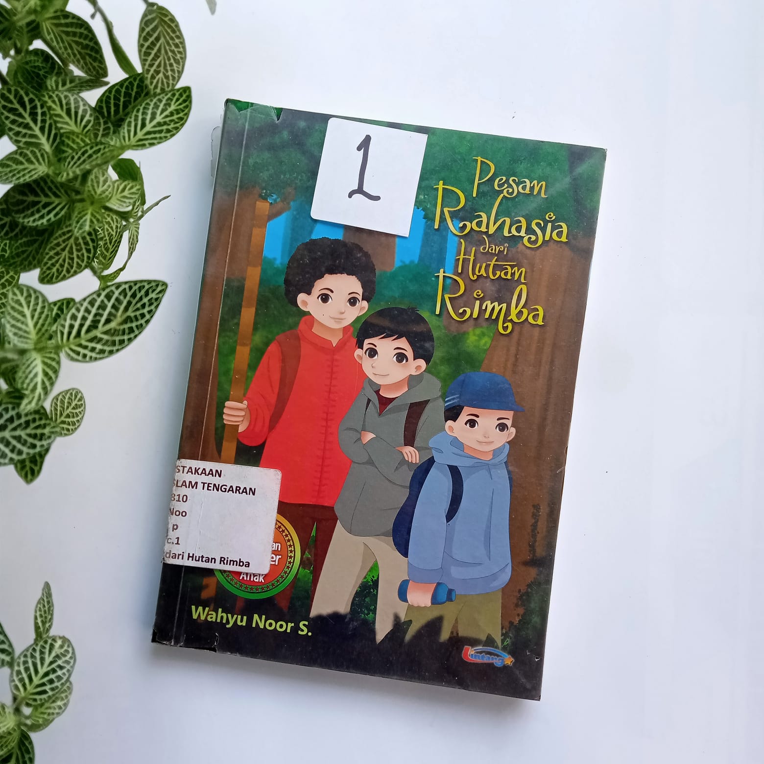 Sampul buku PESAN RAHASIA DARI HUTAN RIMBA ( 1 )