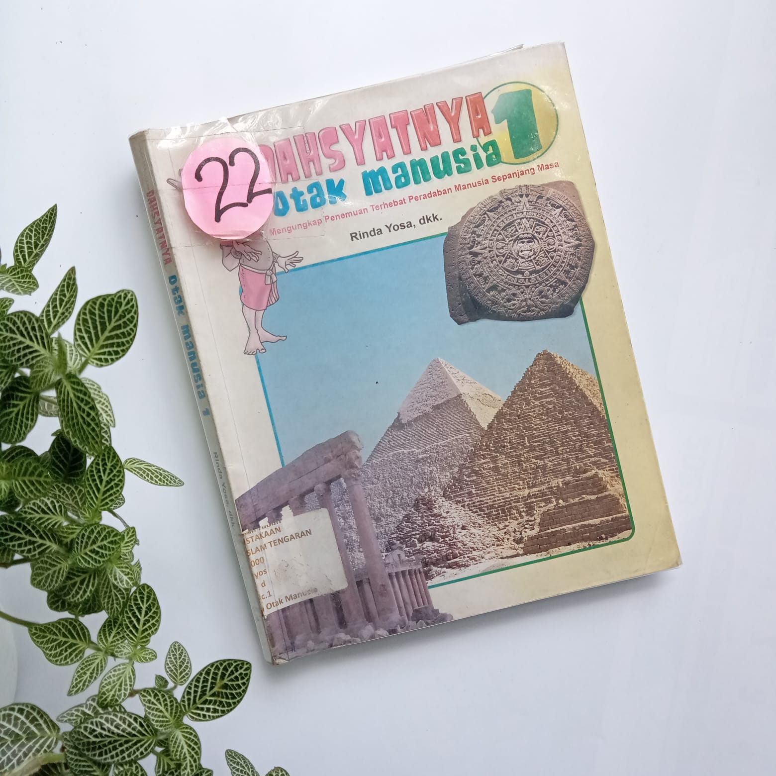 Sampul buku DAHSYATNYA OTAK MANUSIA 1 (  22 )
