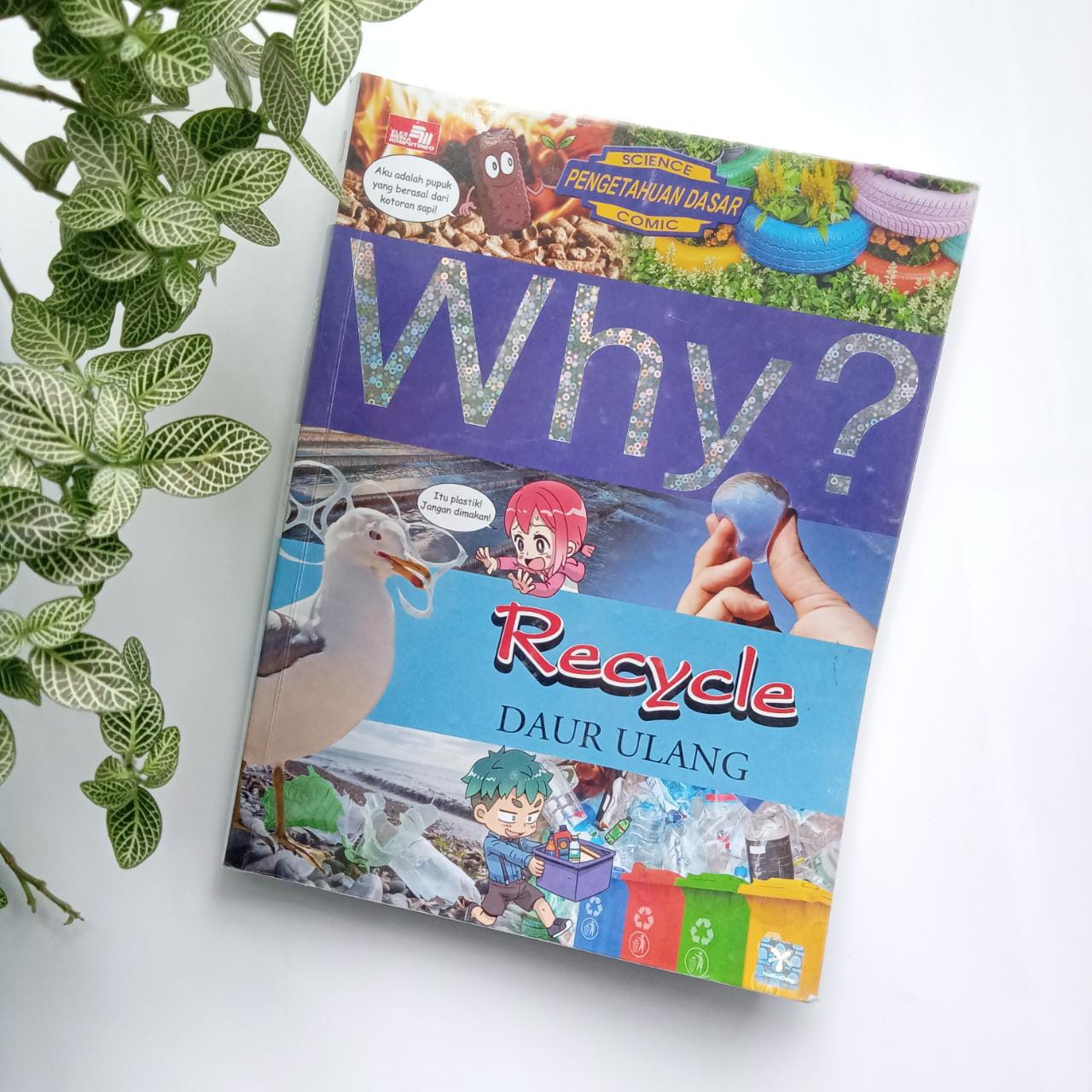 Sampul buku WHY? RECYCLE ( DAUR ULANG )