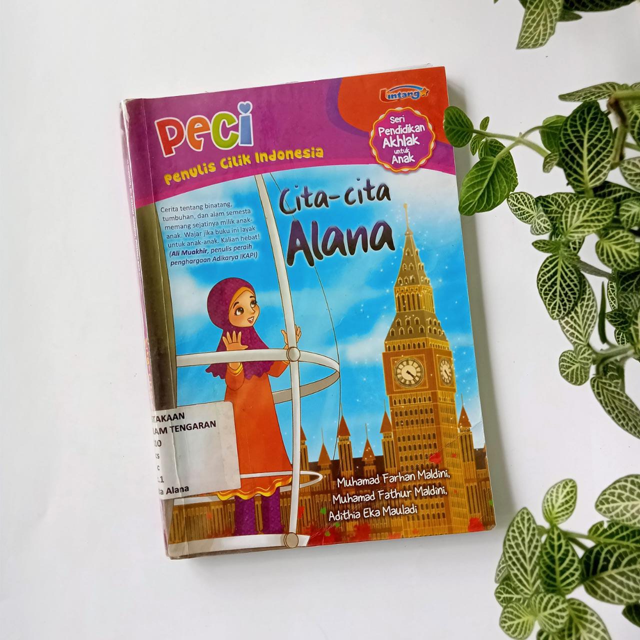 Sampul buku PECI (PENULIS CILIK INDONESIA): CITA-CITA ALANA