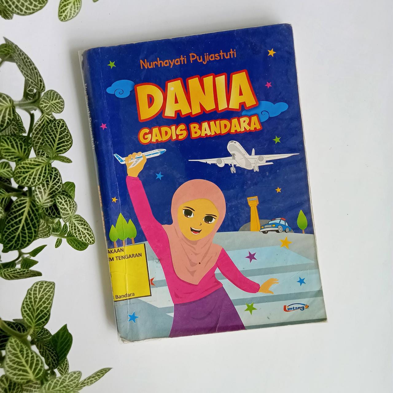 Sampul buku DANIA GADIS BANDARA