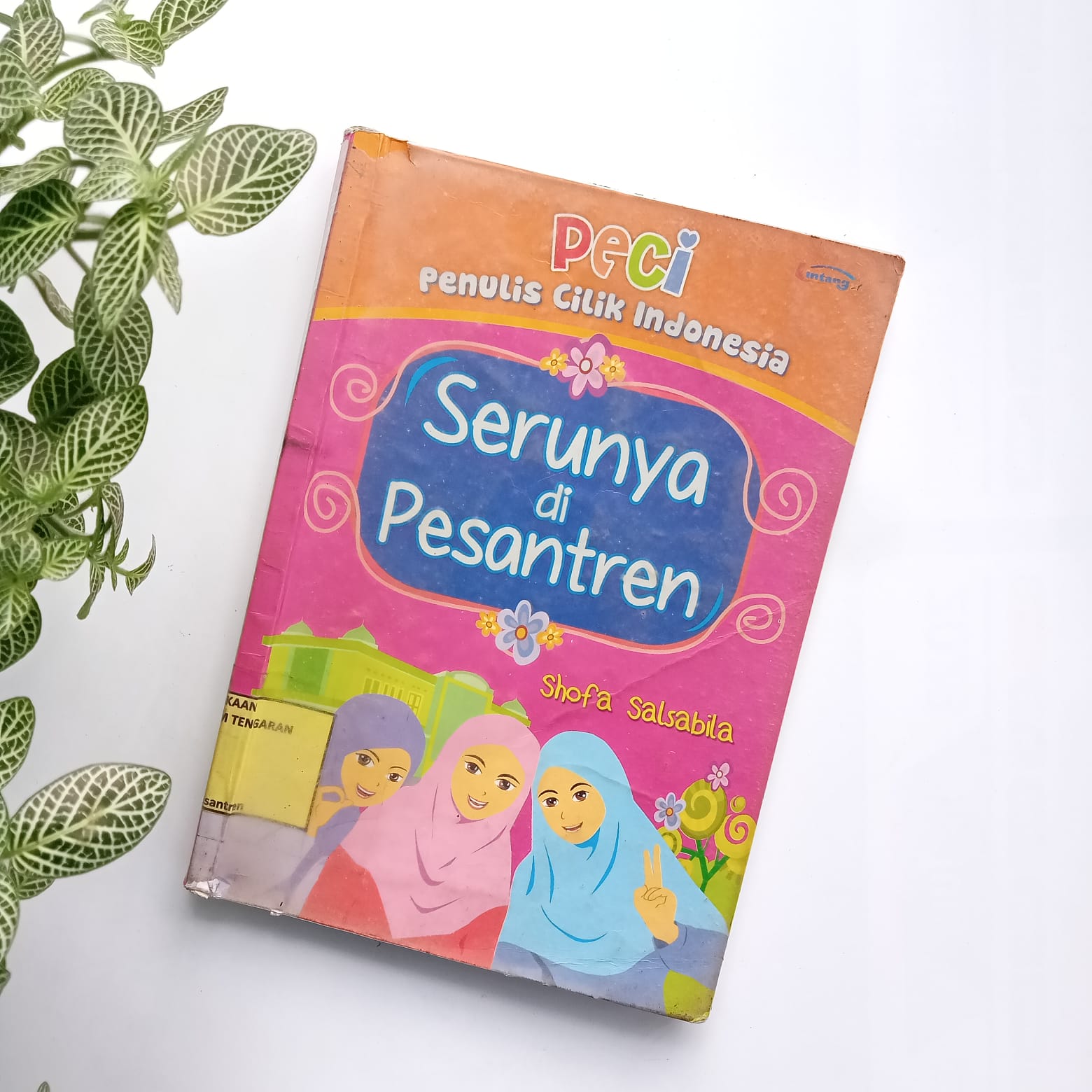 Sampul buku PECI : SERUNYA DI PESANTREN