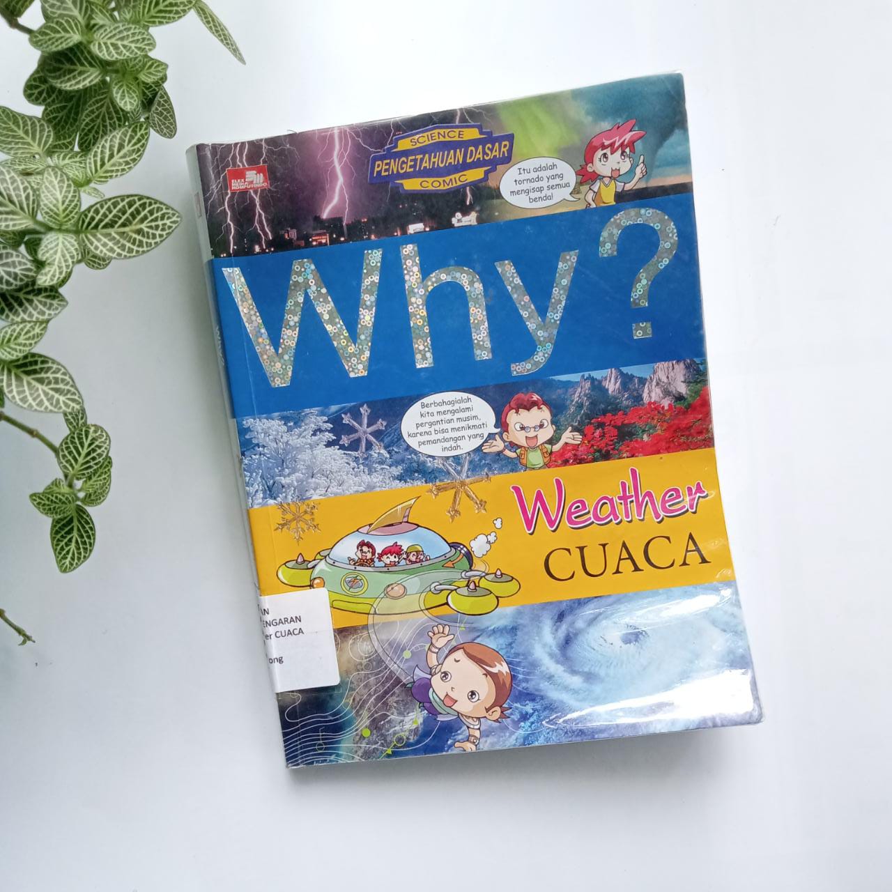 Sampul buku WHY? WEATHER CUACA