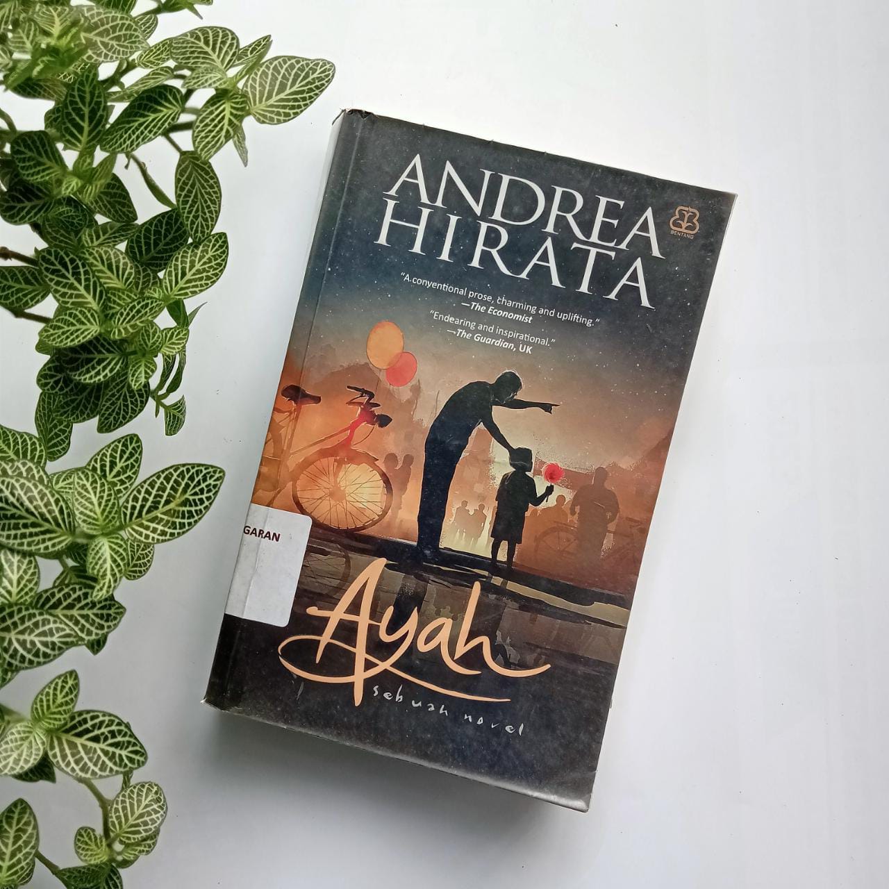 Sampul buku AYAH
