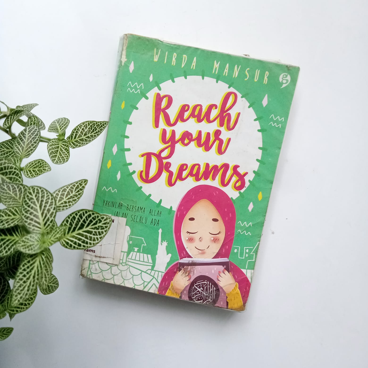 Sampul buku REACH YOUR DREAMS