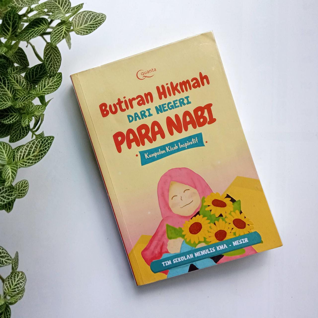 Sampul buku BUTIRAN HIKMAH DARI NEGERI PARA NABI
