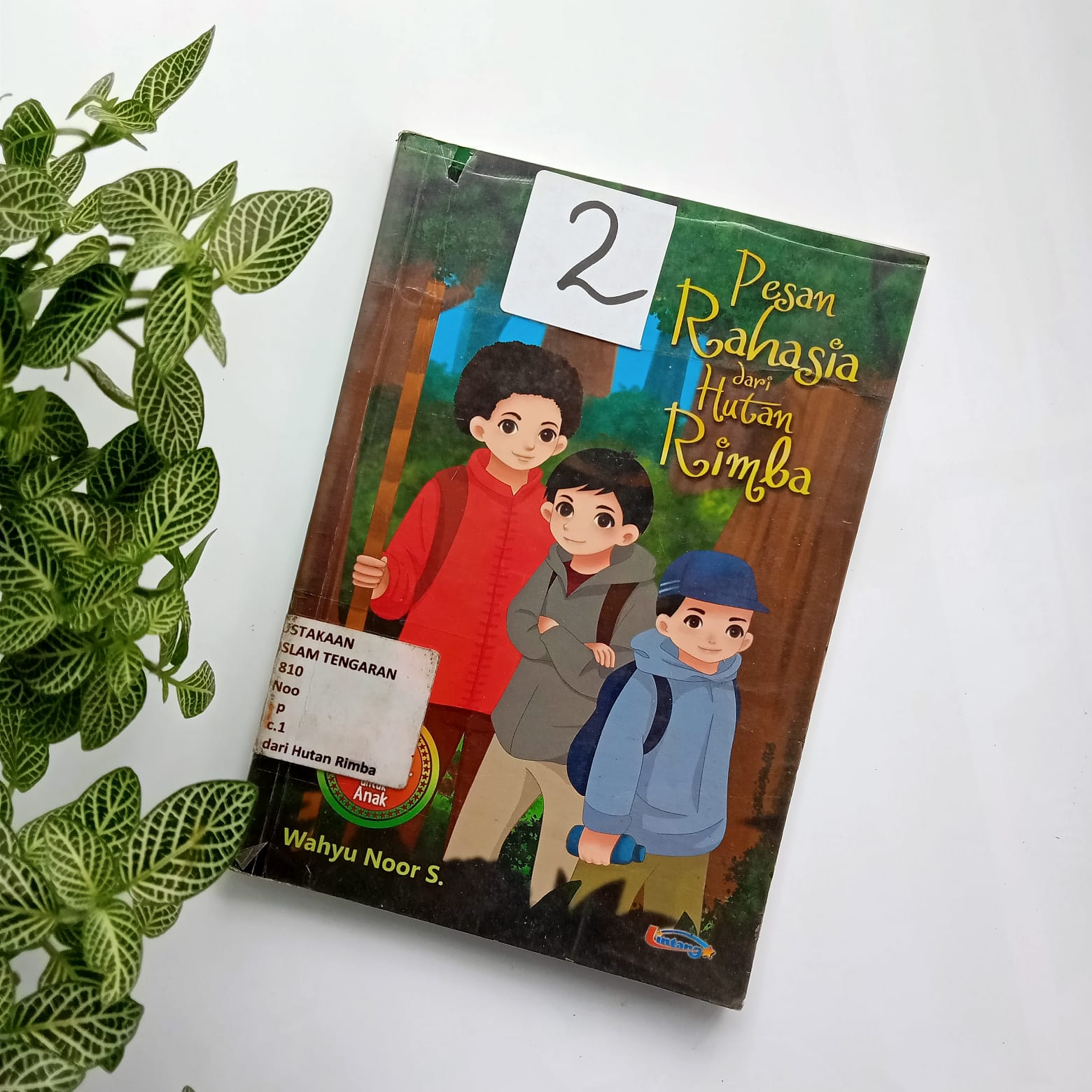 Sampul buku PESAN RAHASIA DARI HUTAN RIMBA ( 2 )
