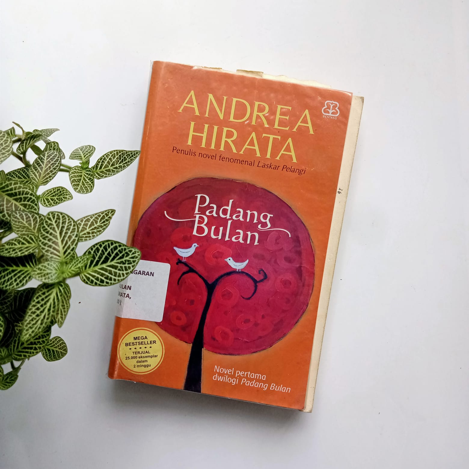 Sampul buku PADANG BULAN