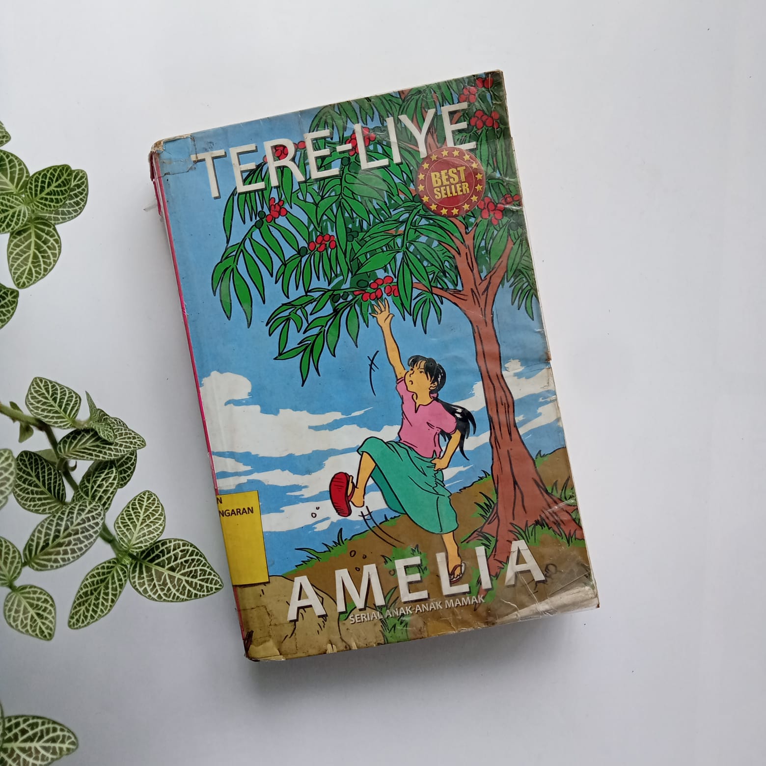 Sampul buku AMELIA