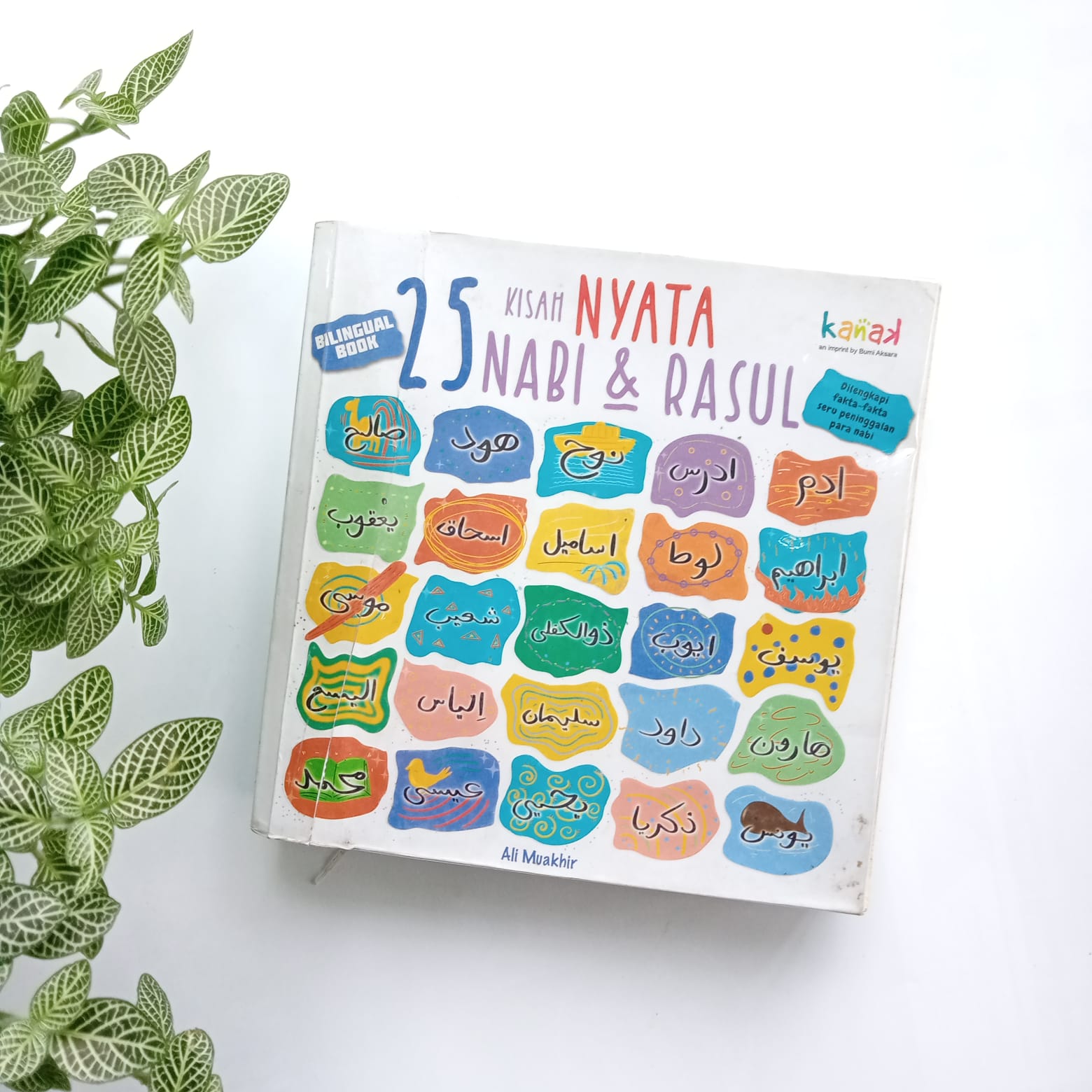 Sampul buku 25 KISAH NYATA NABI & RASUL