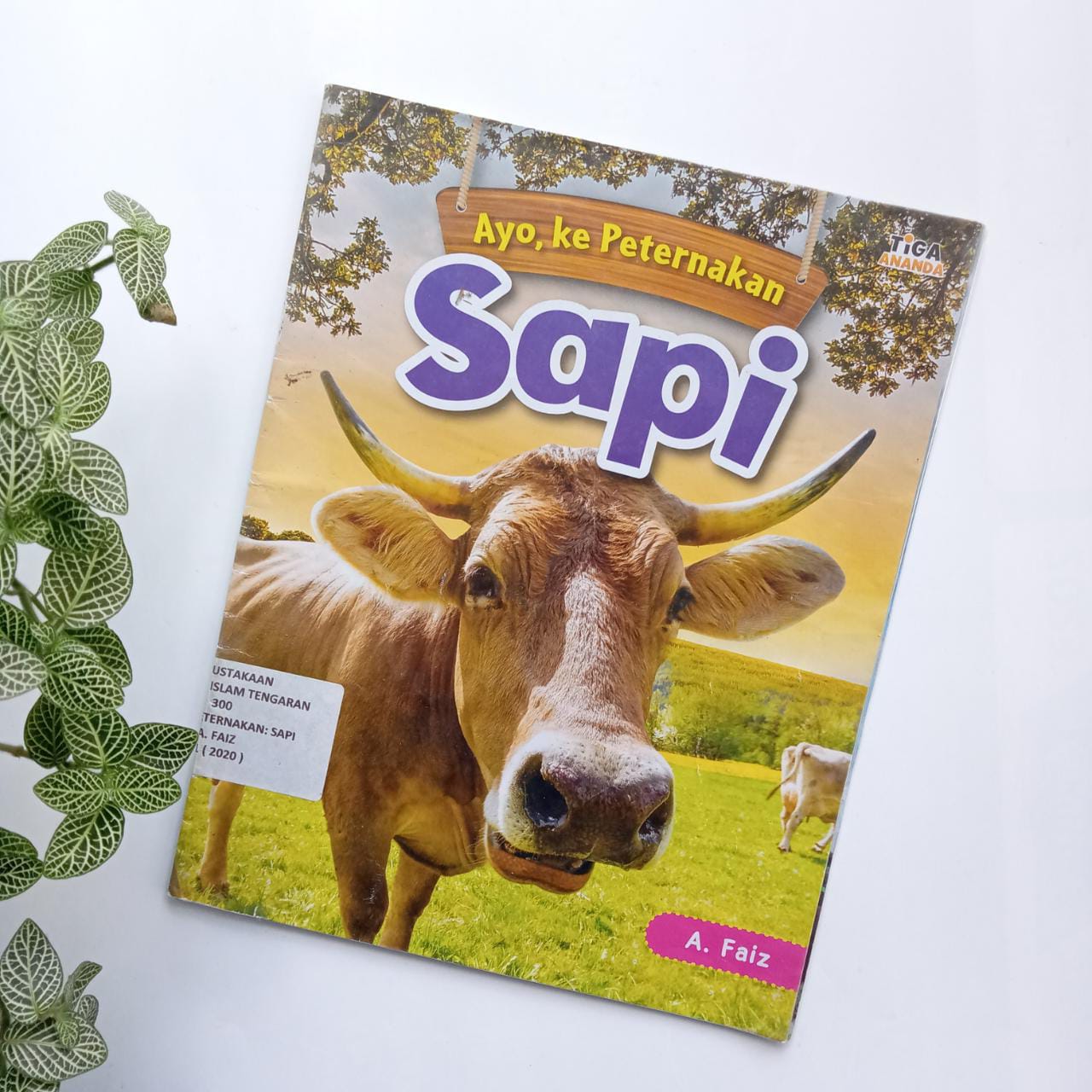 Sampul buku AYO, KE PETERNAKAN: SAPI