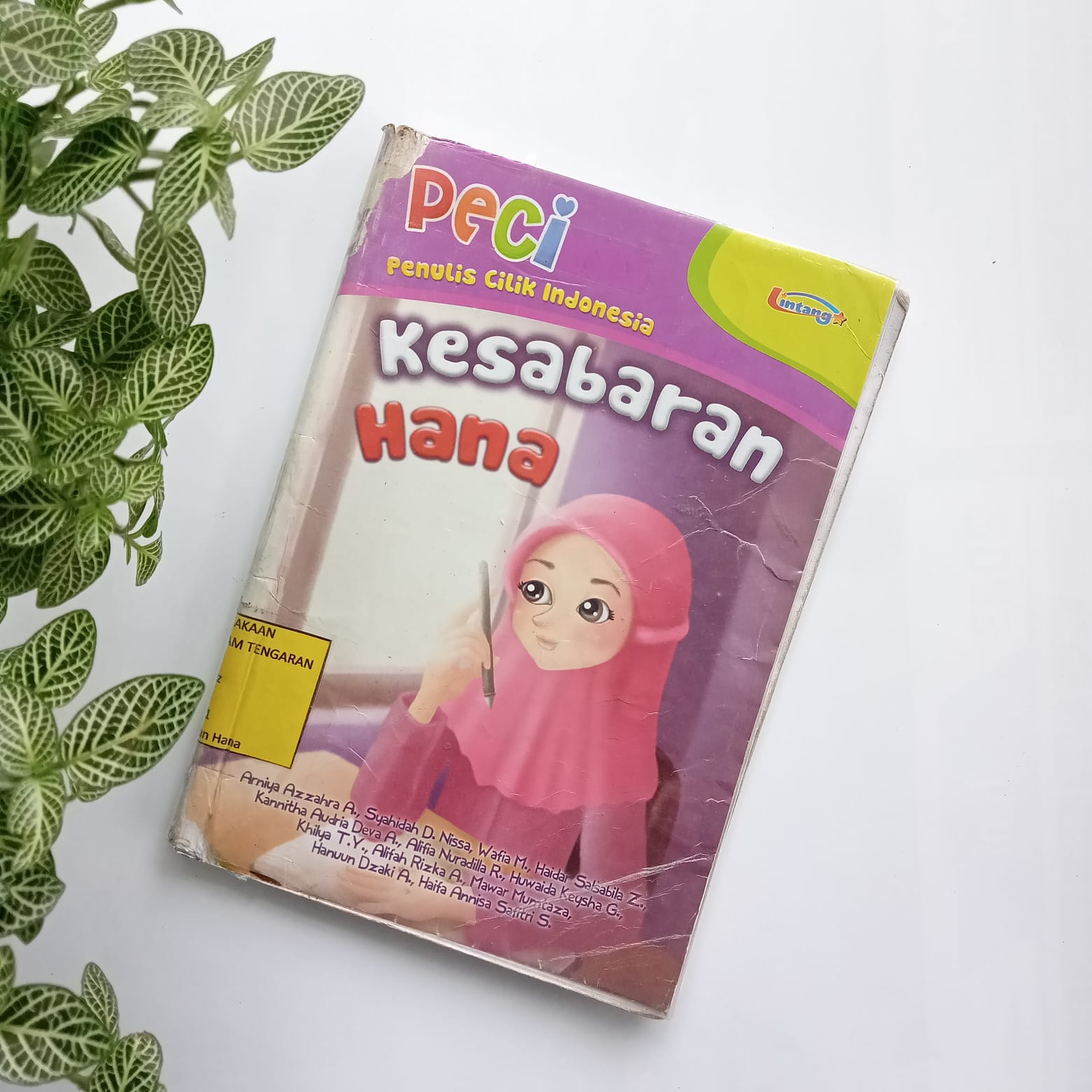 Sampul buku PECI : KESABARAN HANA