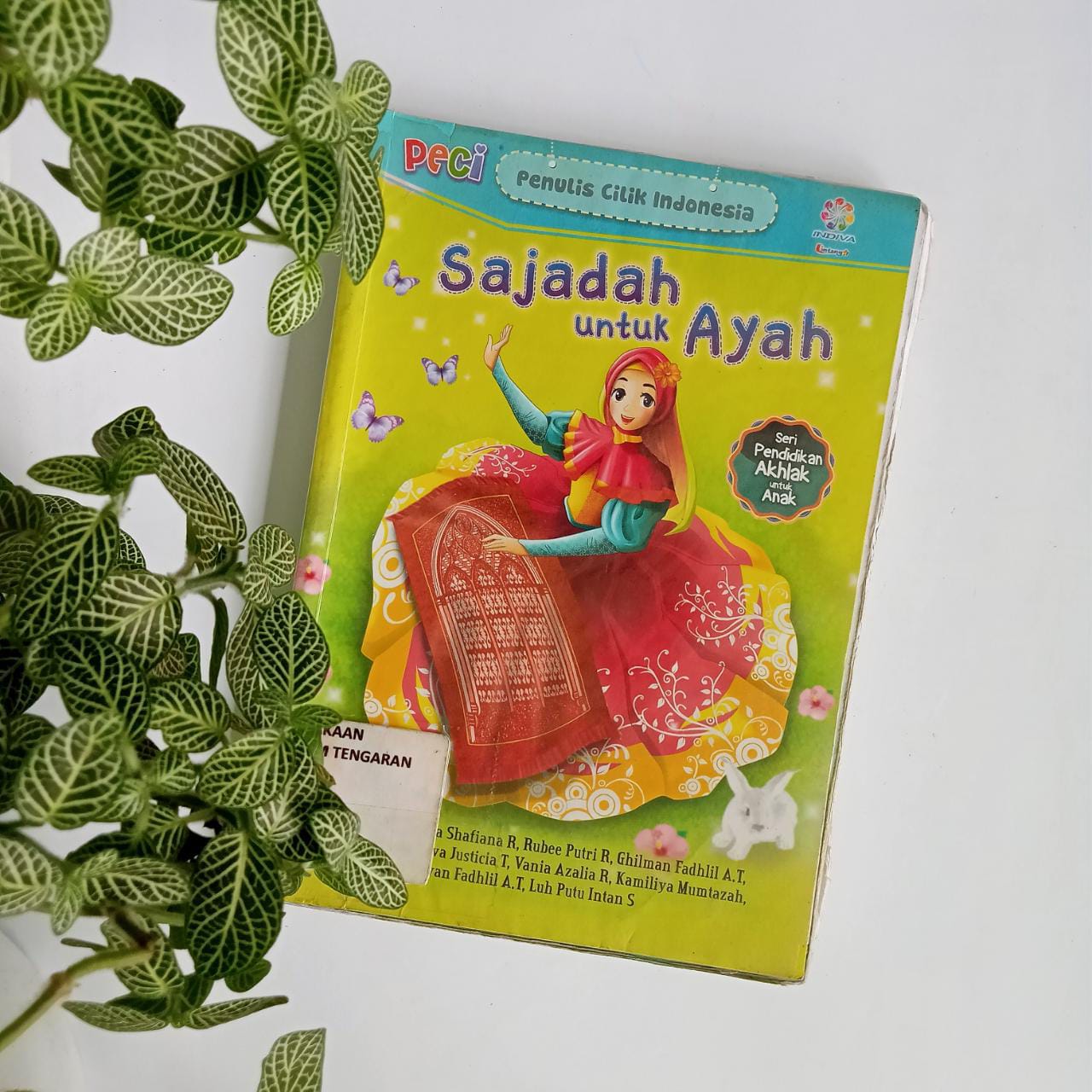 Sampul buku PECI : SAJADAH UNTUK AYAH