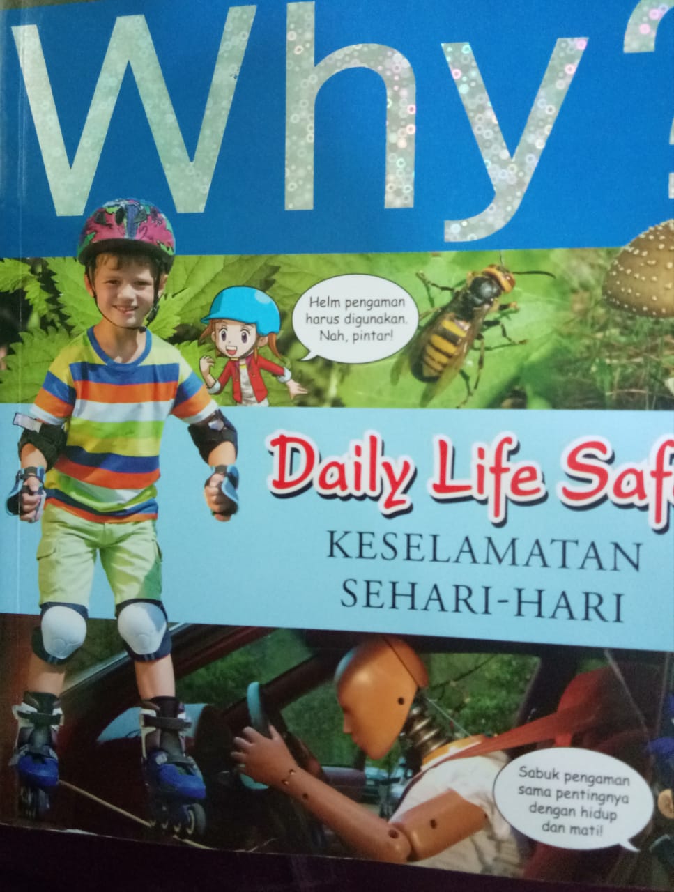 Sampul buku WHY? : DAILY LIFE SAFETY