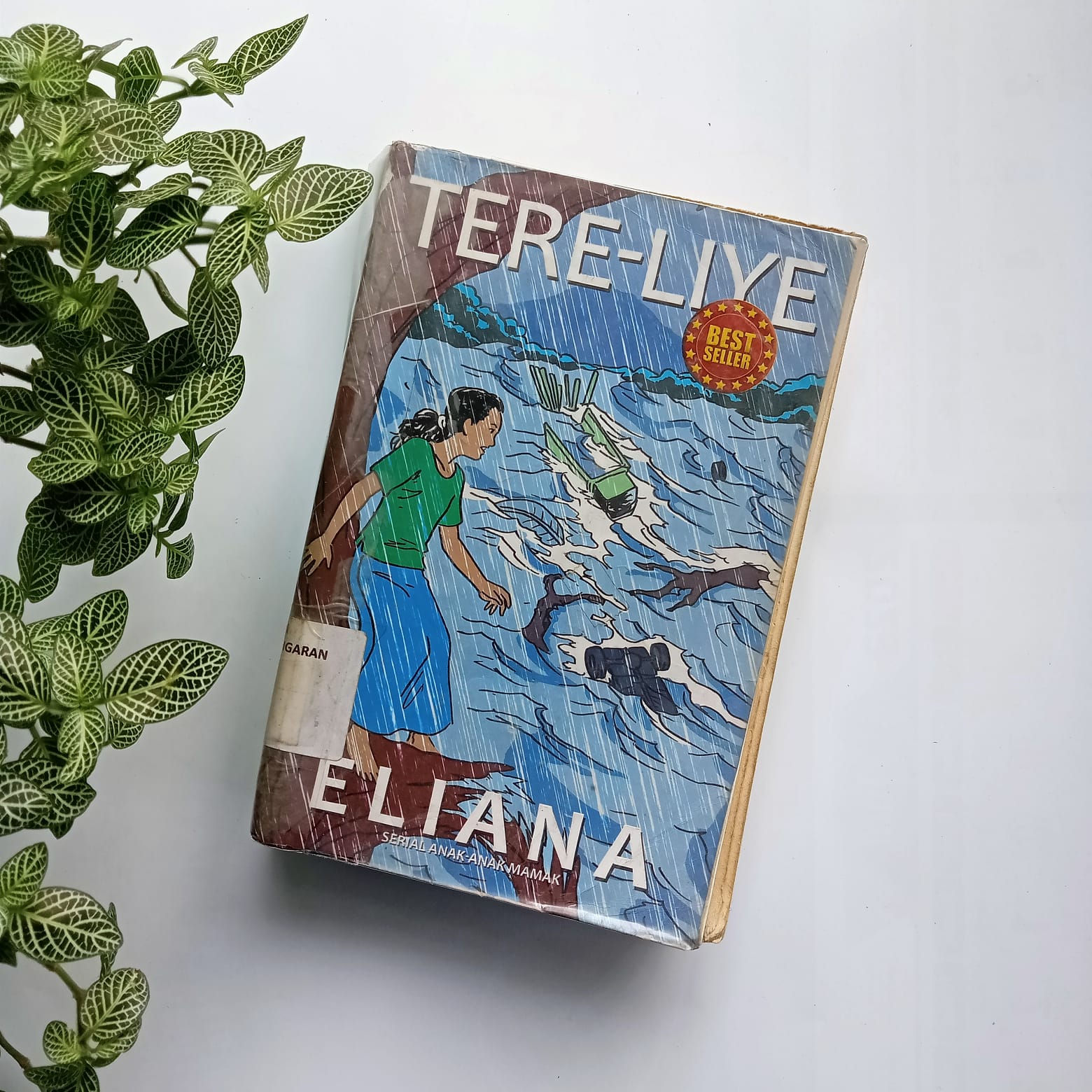 Sampul buku ELIANA