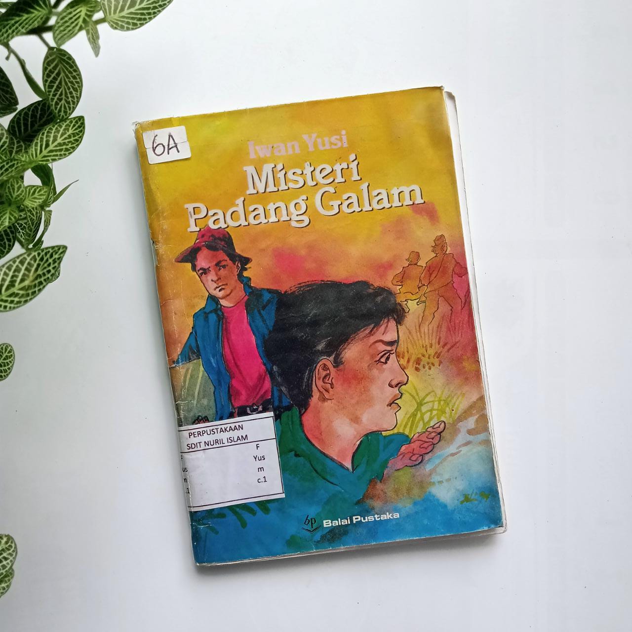 Sampul buku MISTERI PADANG GALAM