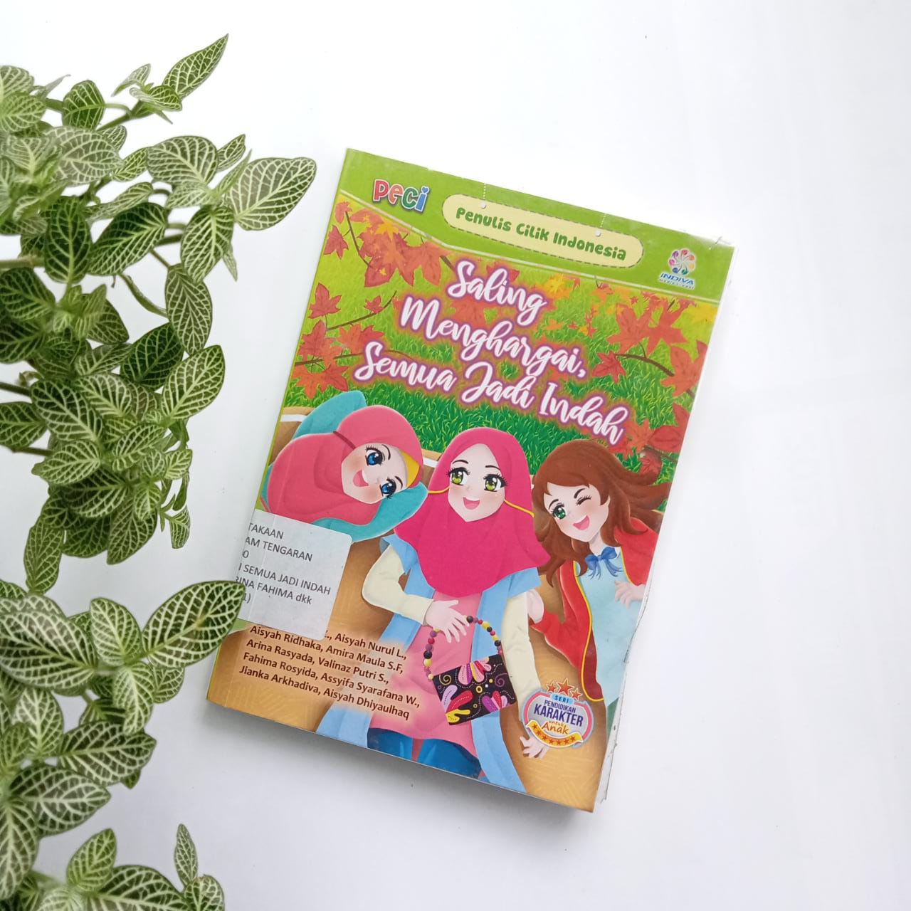 Sampul buku PECI : SALING MENGHARGAI SEMUA JADI INDAH