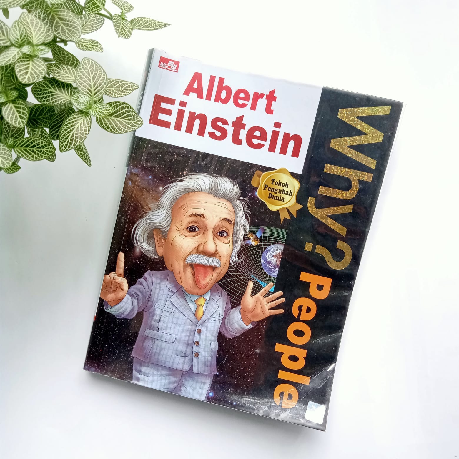 Sampul buku WHY? PEOPLE : ALBERT EINSTEIN