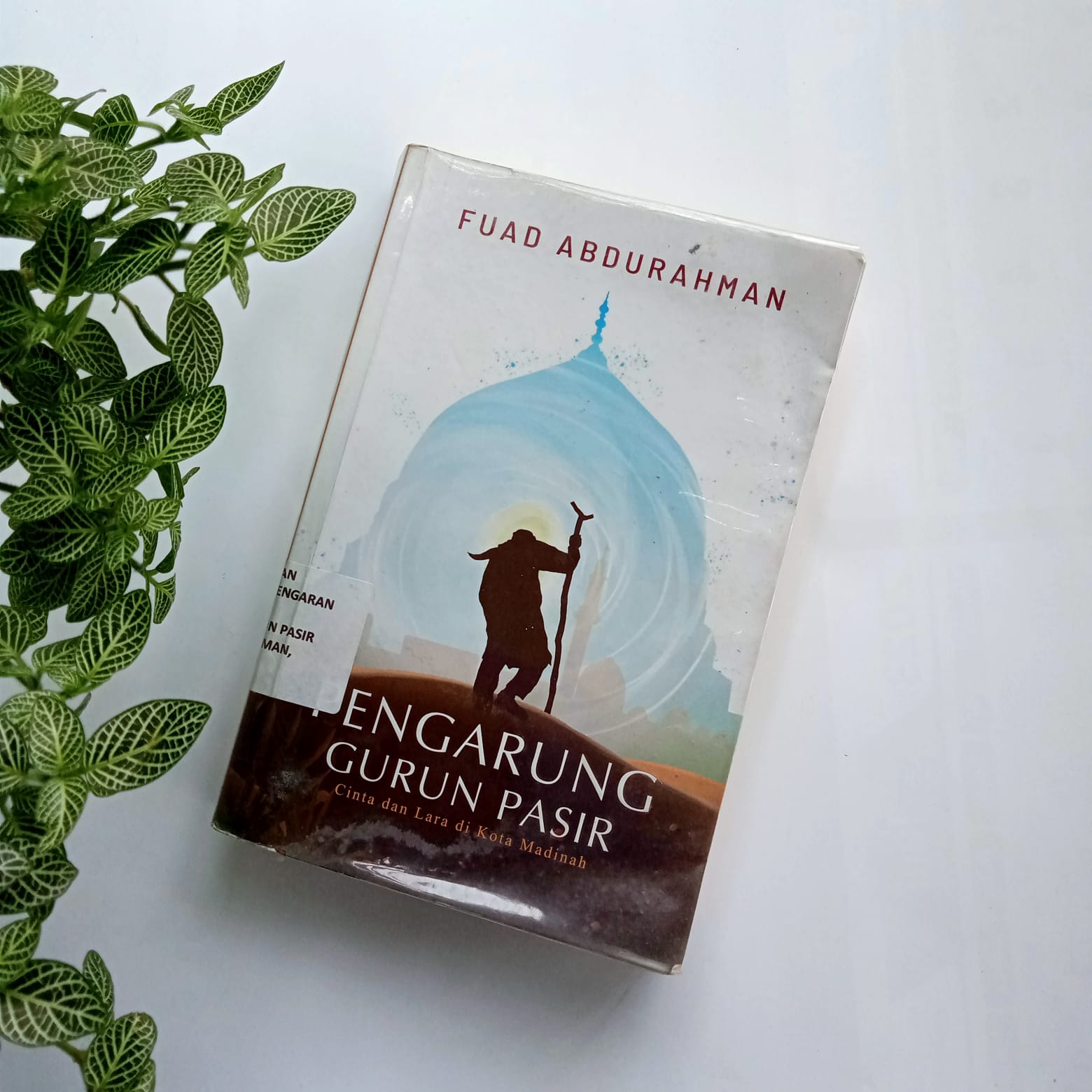 Sampul buku PENGARUNG GURUN PASIR