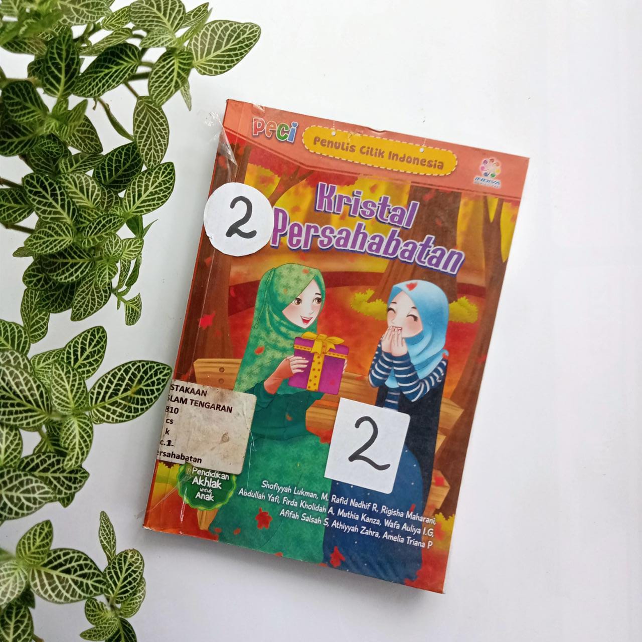 Sampul buku PECI : KRISTAL PERSAHABATAN (2)