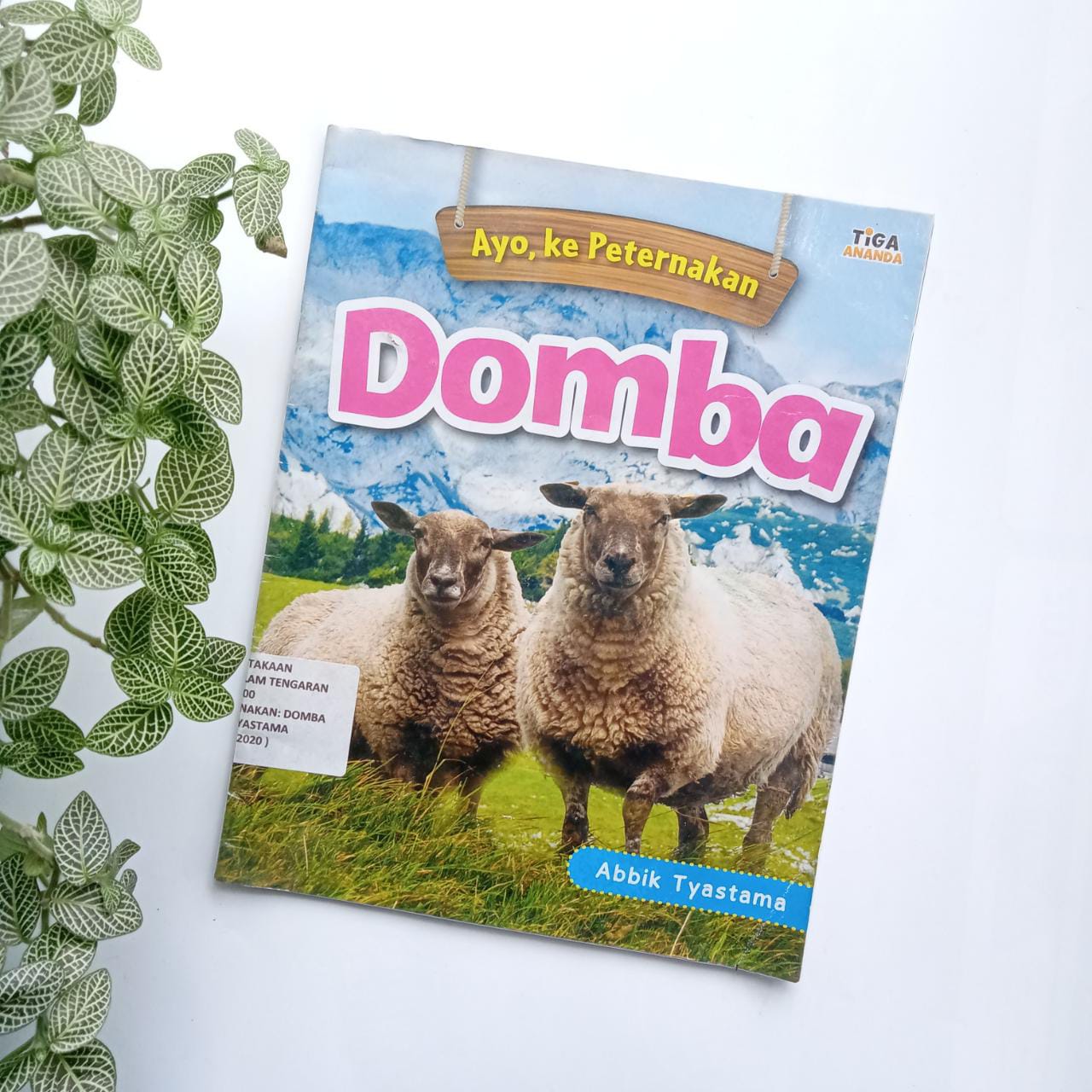 Sampul buku AYO, KE PETERNAKAN: DOMBA