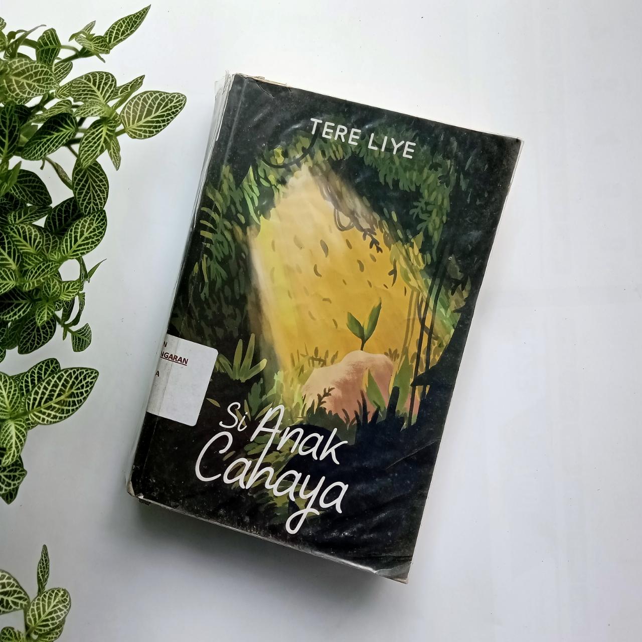 Sampul buku SI ANAK CAHAYA