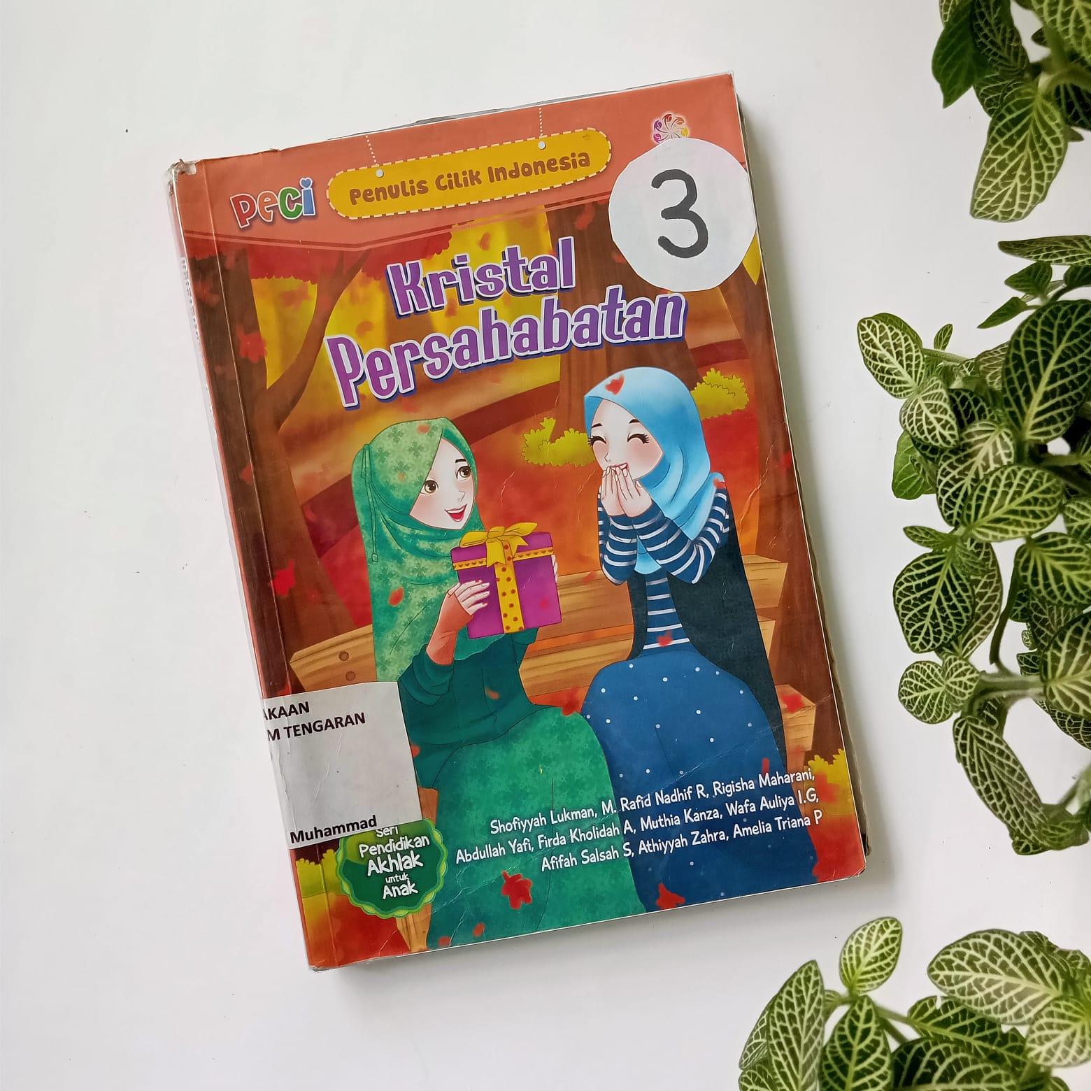 Sampul buku PECI : KRISTAL PERSAHABATAN (3)