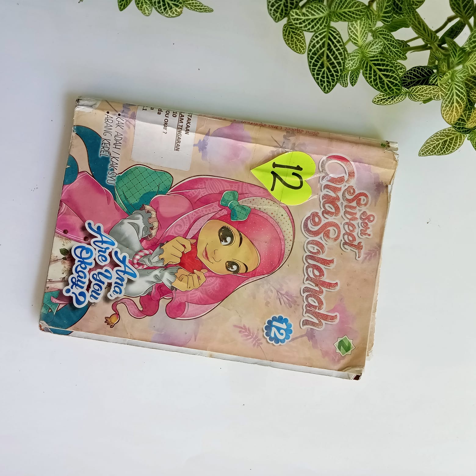 Sampul buku SERI SWEET ANA SALEHAH JILID 12 : ANA ARE YOU OKAY?