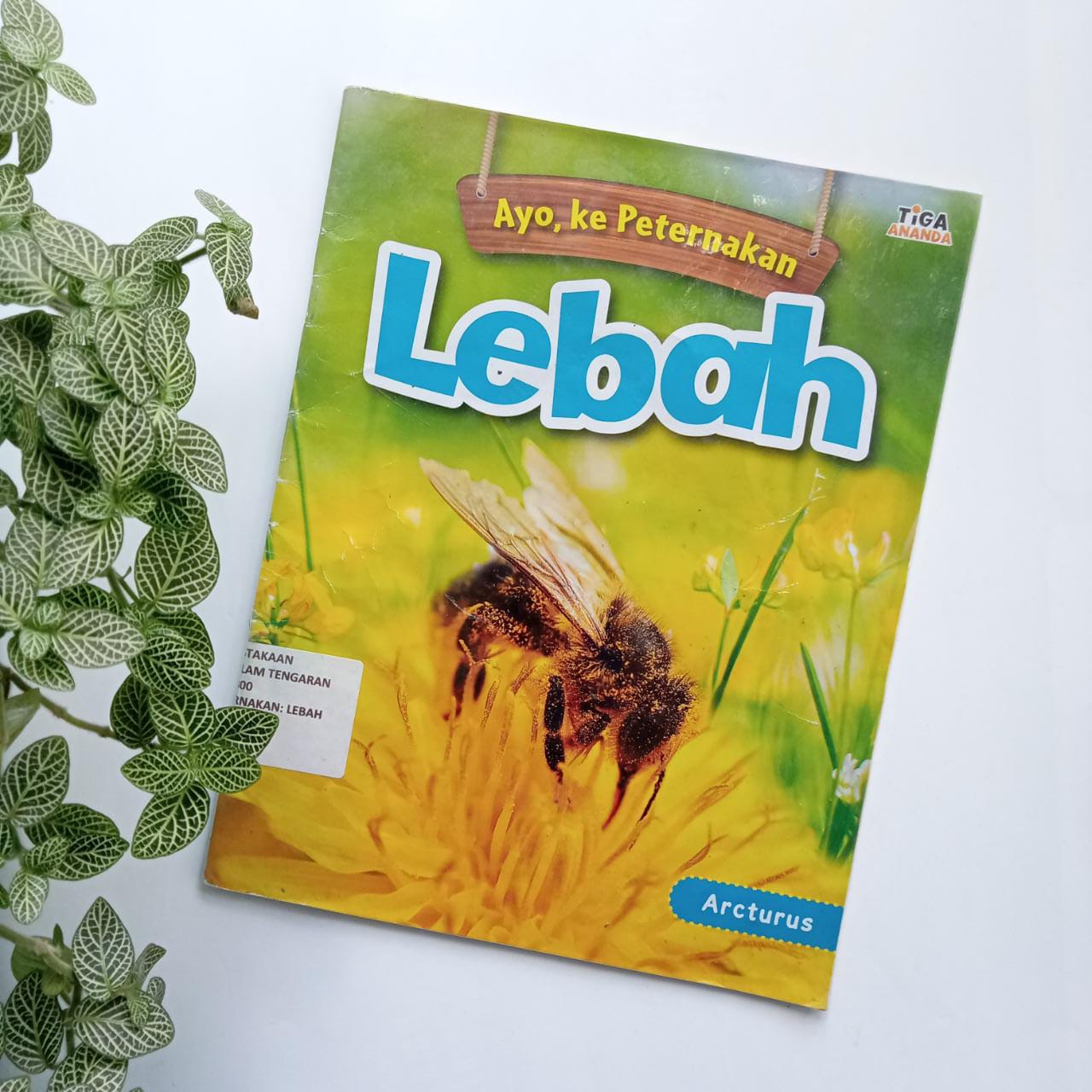Sampul buku AYO, KE PETERNAKAN: LEBAH