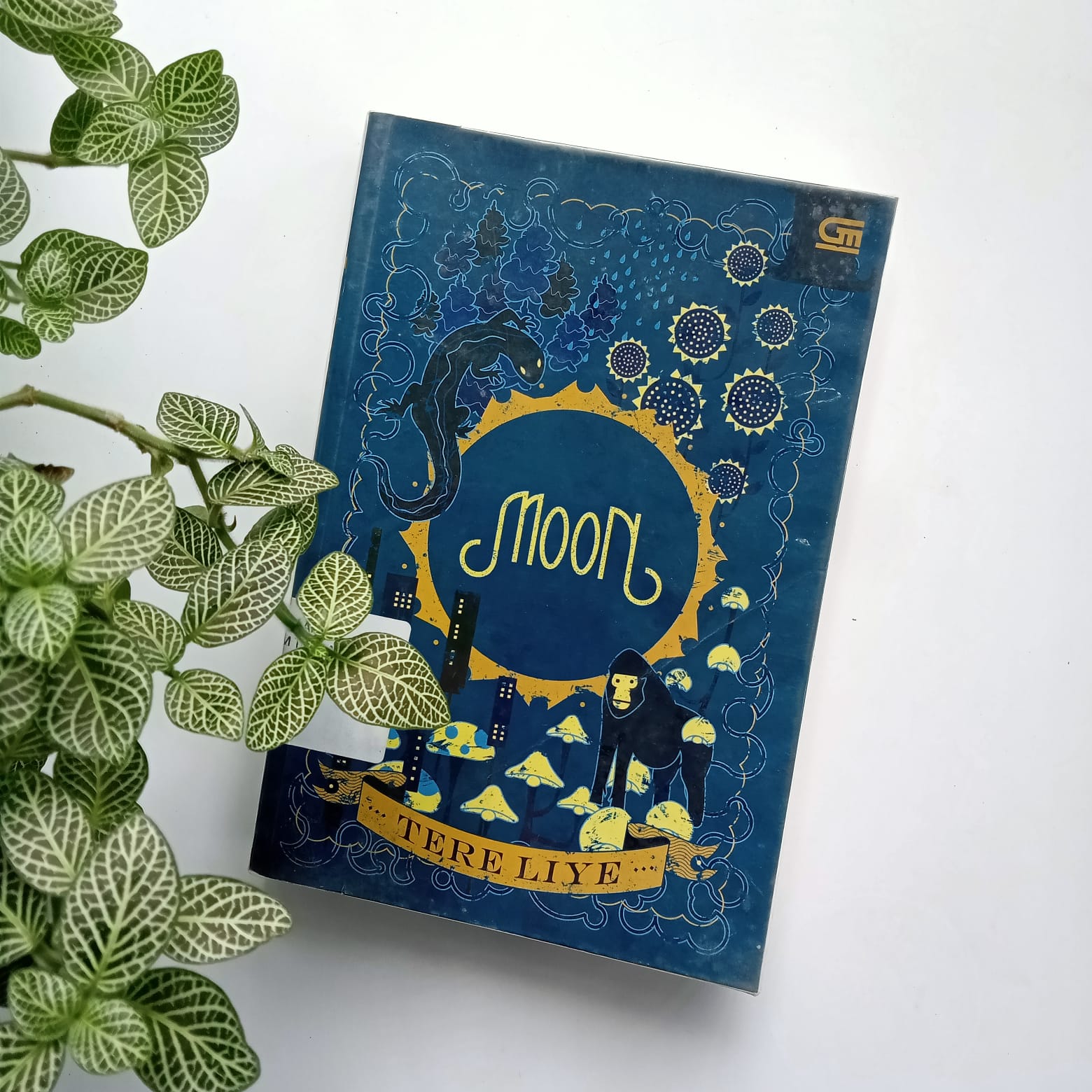 Sampul buku MOON