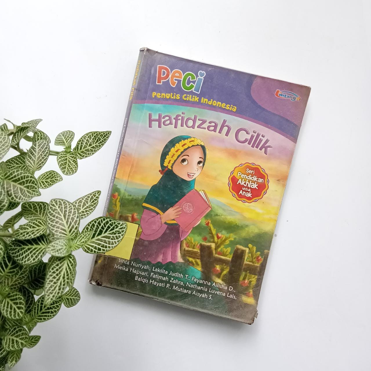 Sampul buku PECI (PENULIS CILIK INDONESIA): HAFIDZAH CILIK