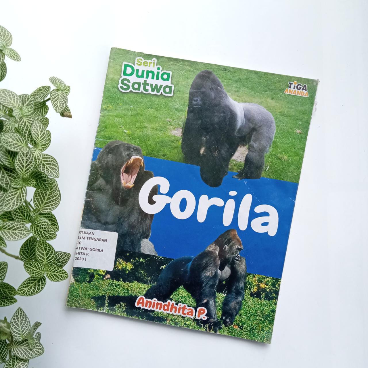 Sampul buku SERI DUNIA SATWA: GORILA