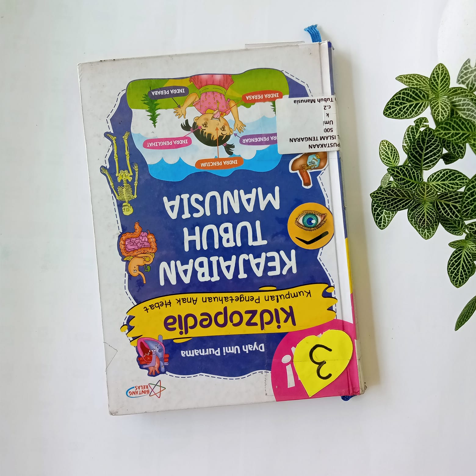 Sampul buku KIDZOPEDIA : KEAJAIBAN TUBUH MANUSIA ( 3 )
