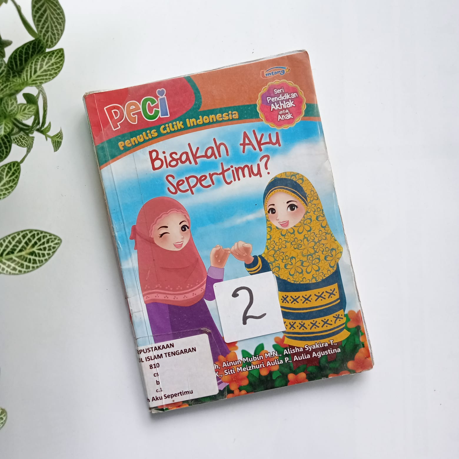 Sampul buku PECI : BISAKAH AKU SEPERTIMU? ( C.2 )