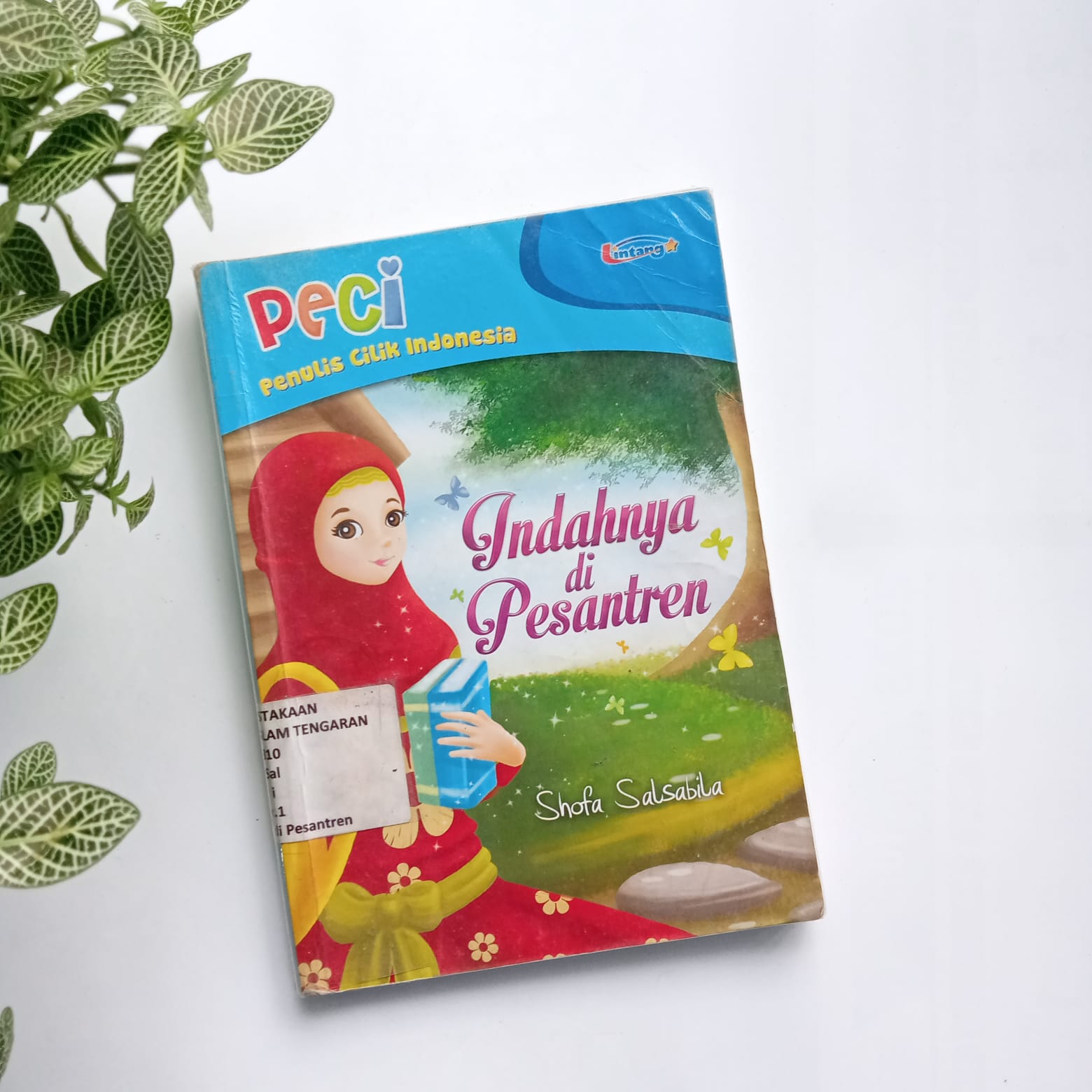 Sampul buku PECI : INDAHNYA DI PESANTREN