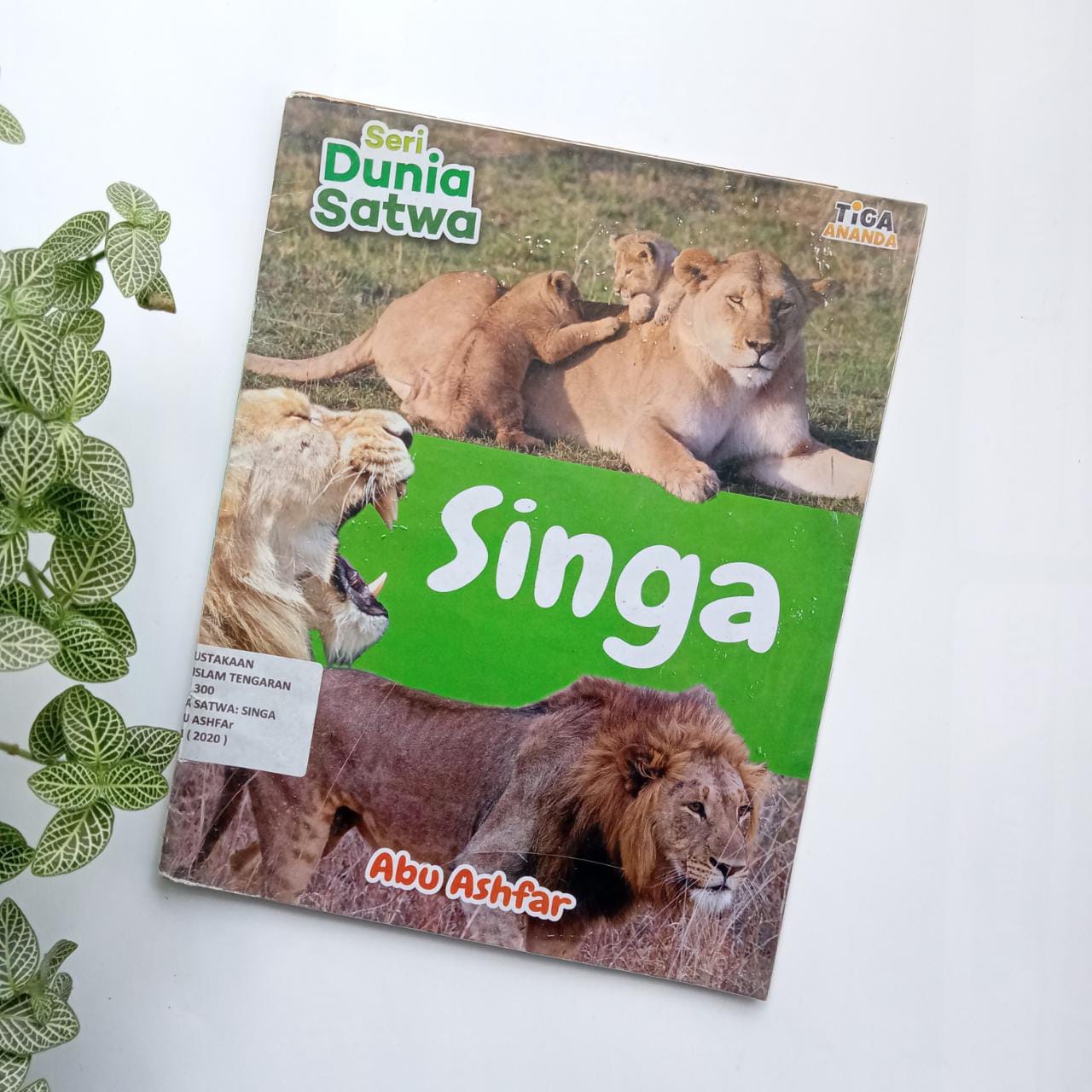 Sampul buku SERI DUNIA SATWA: SINGA