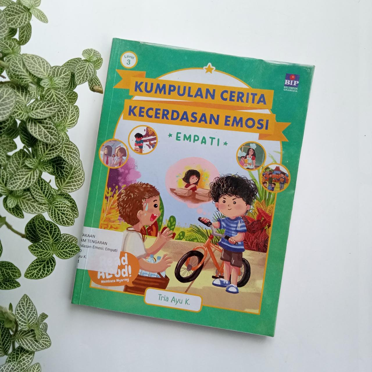Sampul buku KUMPULAN CERITA : KECERDASAN EMOSI ,EMPATI