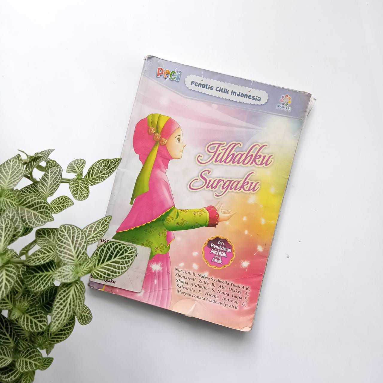 Sampul buku PECI : JILBABKU SURGAKU