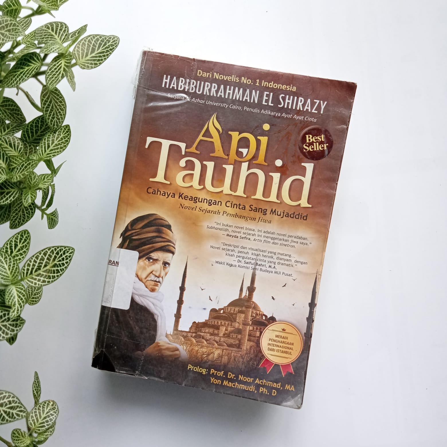 Sampul buku API TAUHID