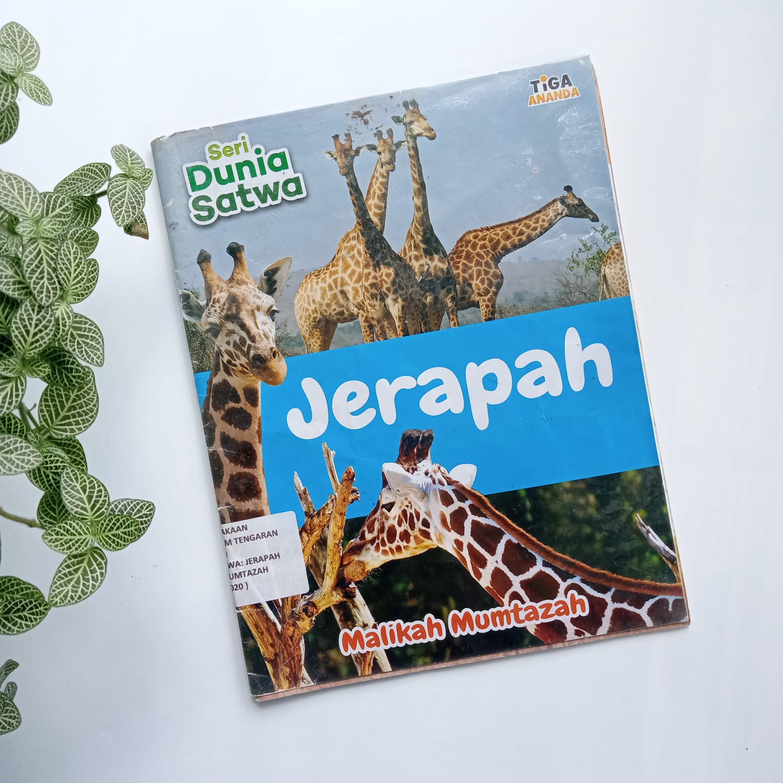 Sampul buku SERI DUNIA SATWA: JERAPAH