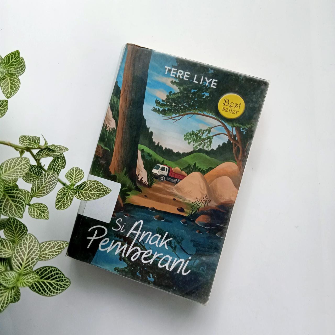 Sampul buku SI ANAK PEMBERANI