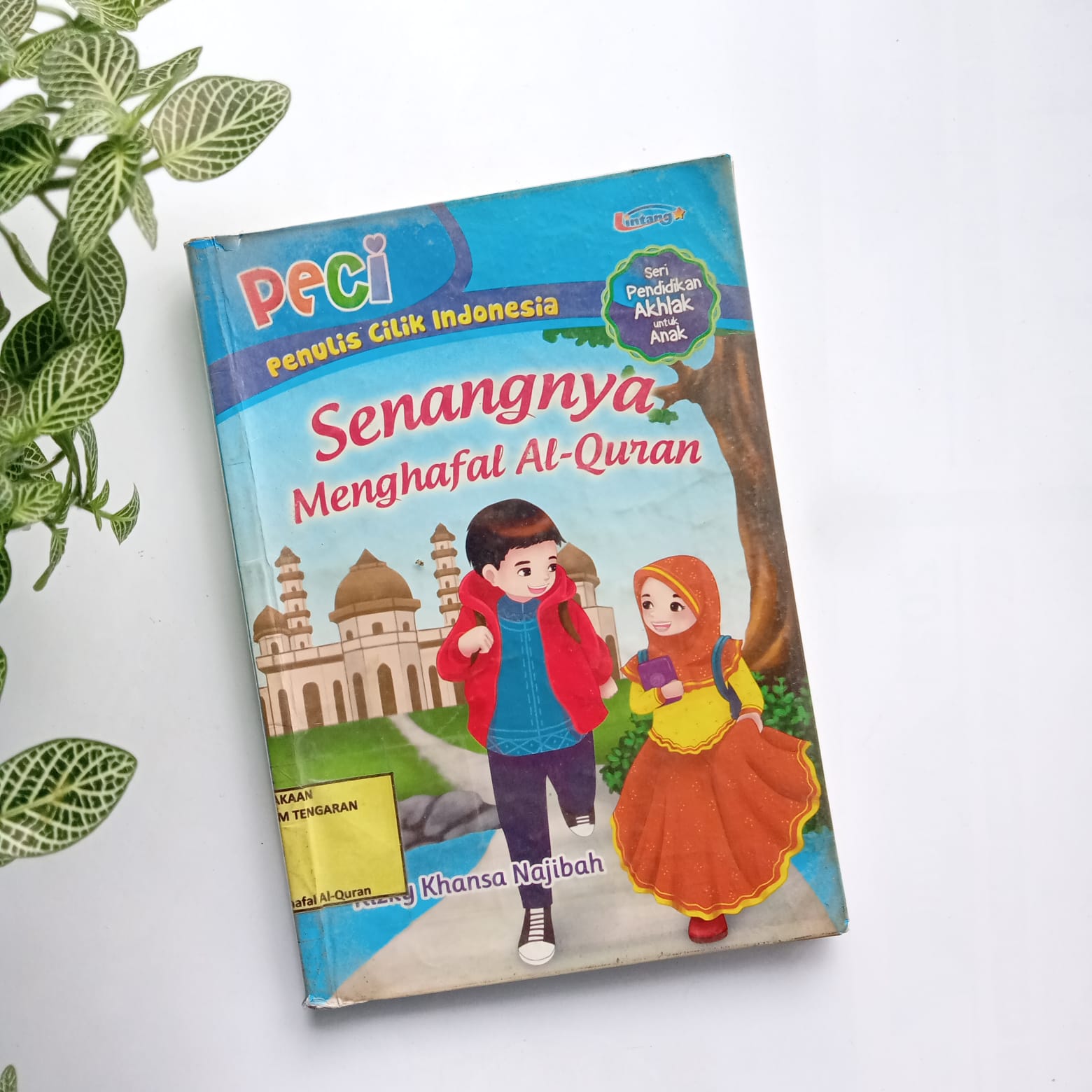 Sampul buku PECI : SENANGNYA MENGHAFAL AL-QUR'AN