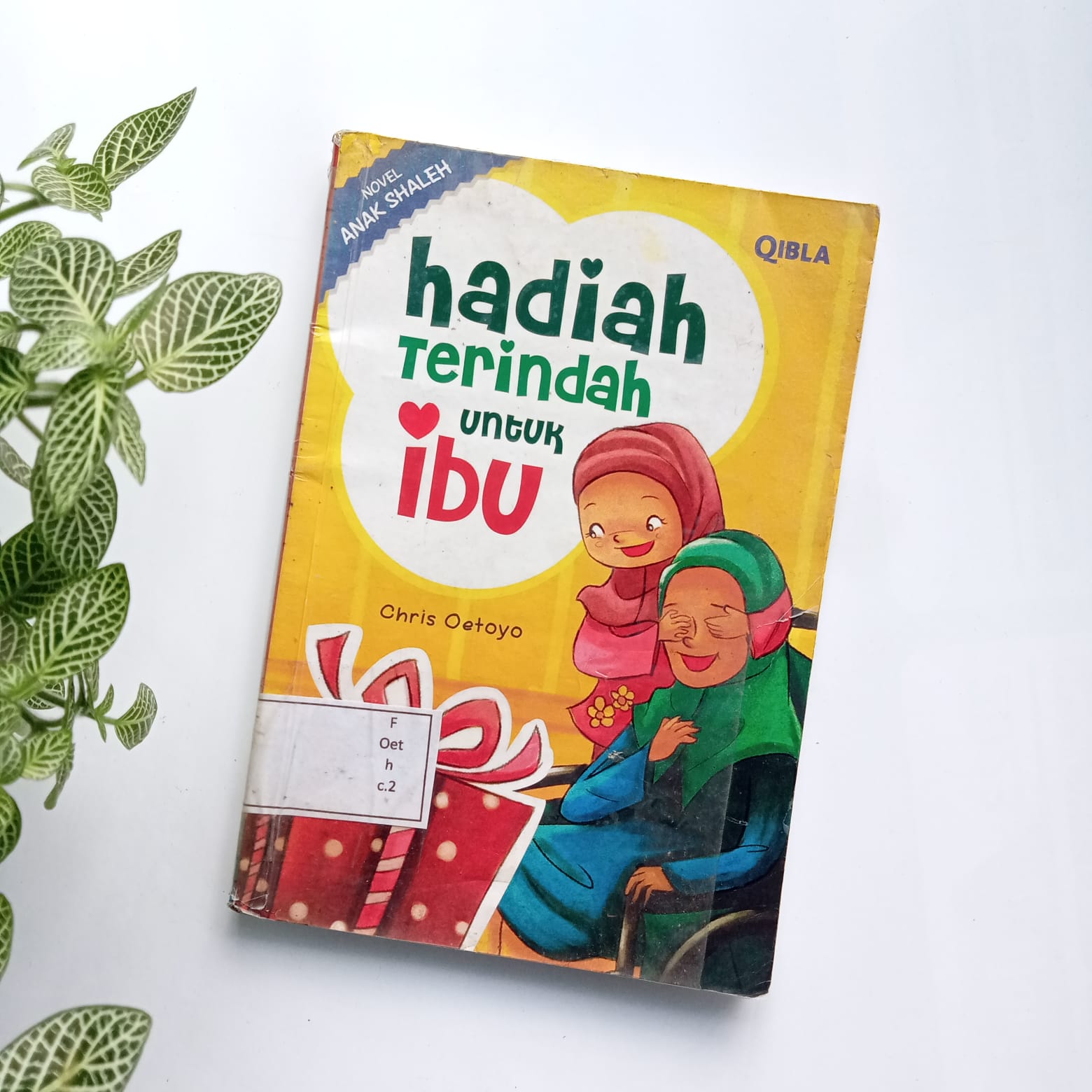 Sampul buku NOVEL ANAK SHALEH : HADIAH TERINDAH UNTUK IBU