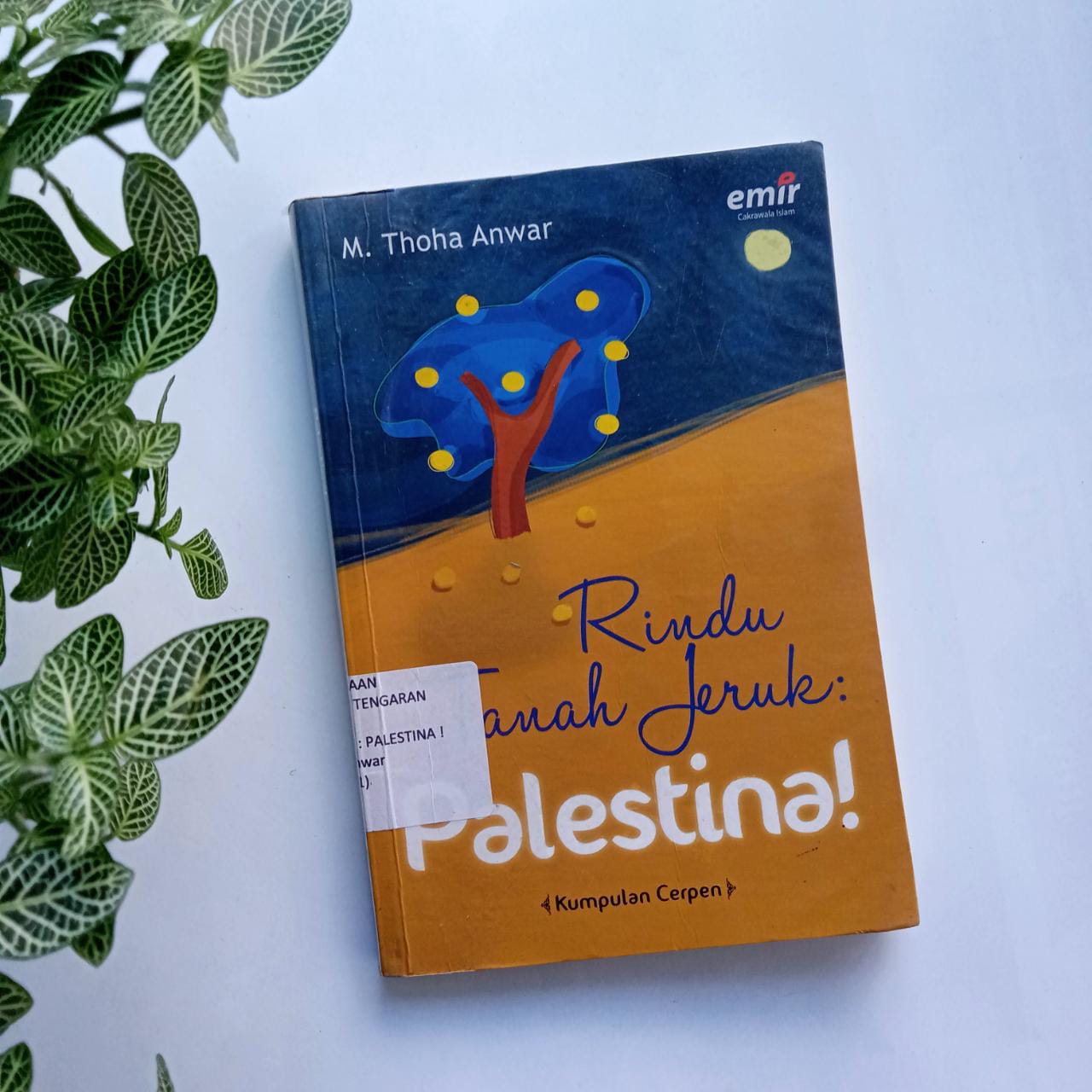 Sampul buku RINDU TANAH JERUK : PALESTINA