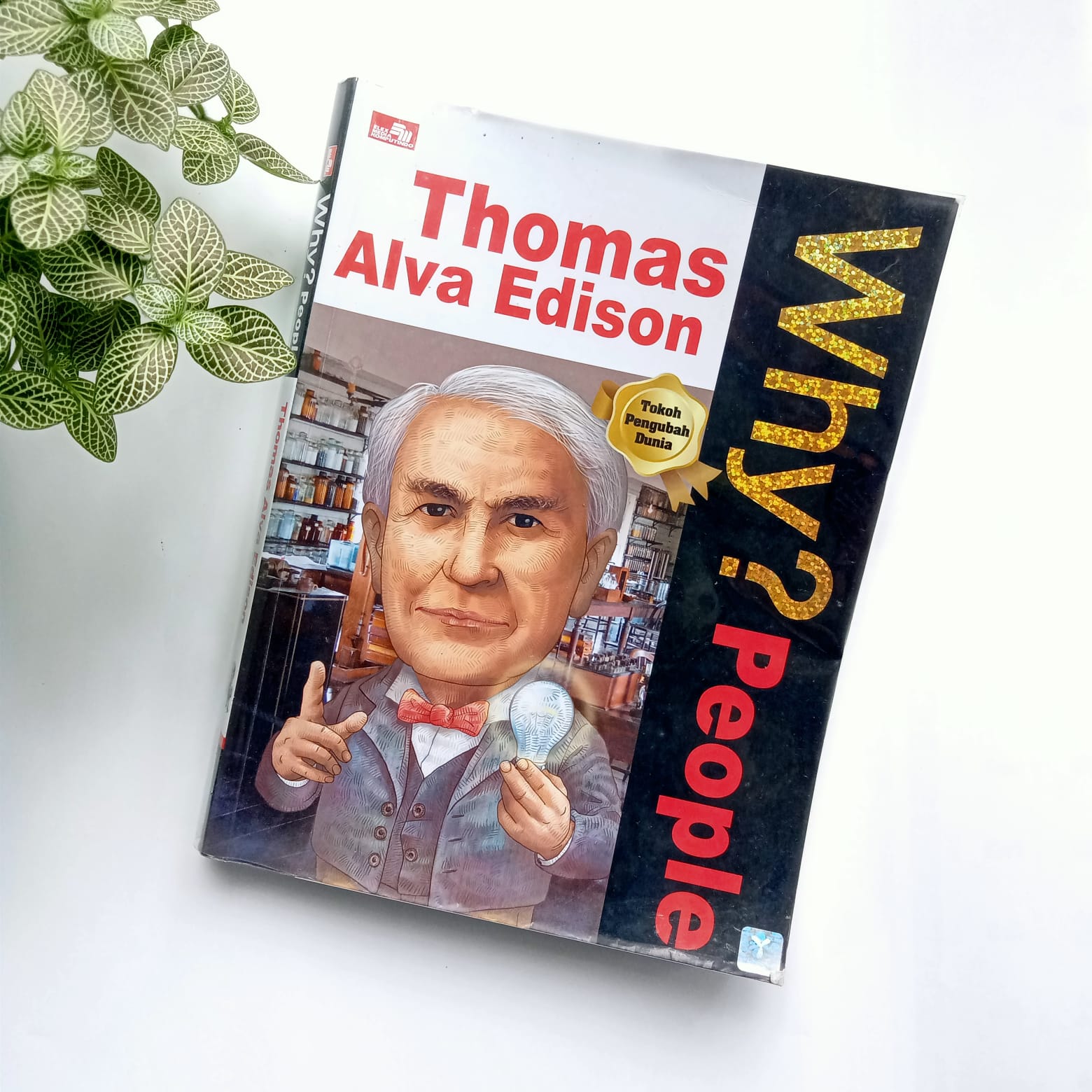 Sampul buku WHY? PEOPLE THOMAS ALVA EDISON