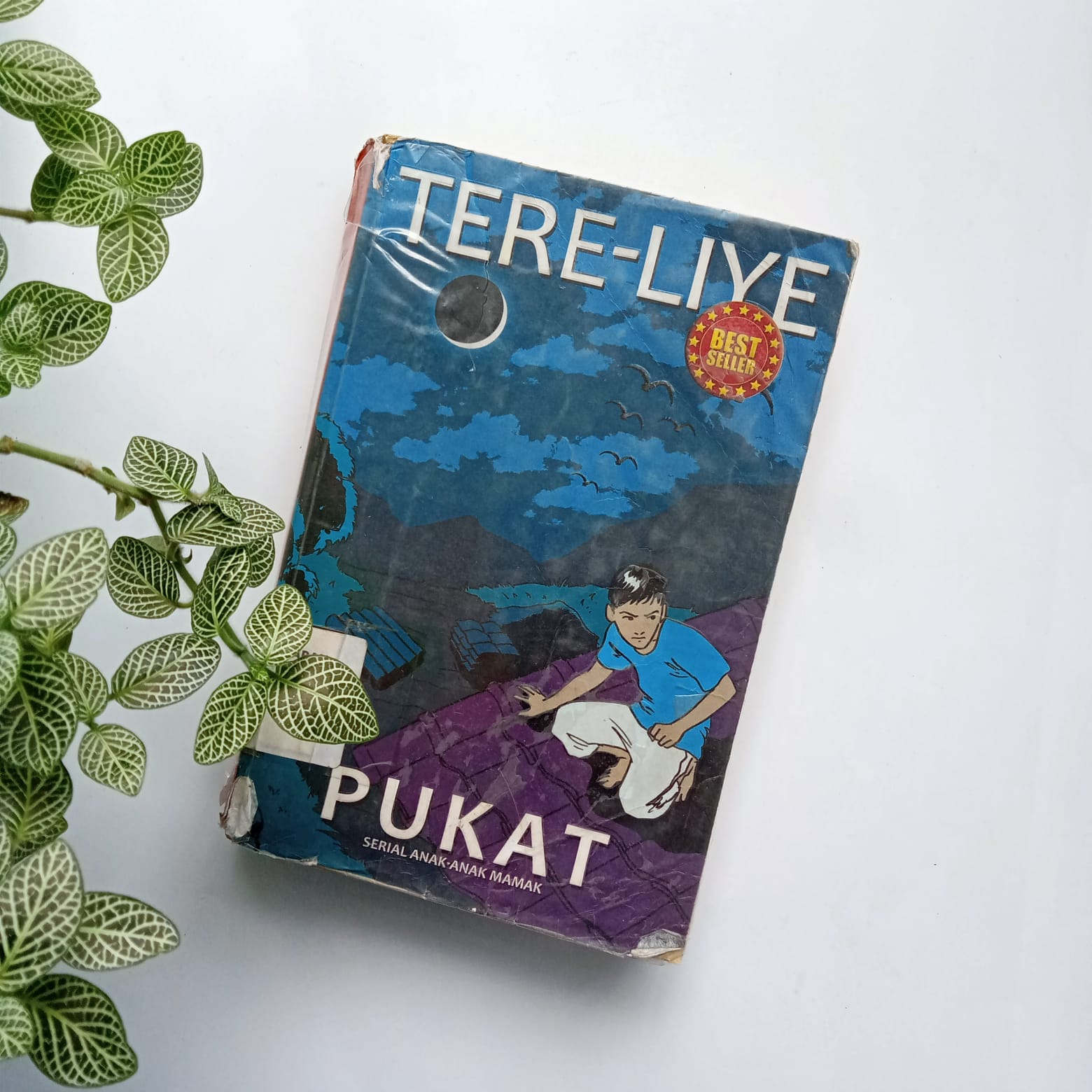 Sampul buku PUKAT