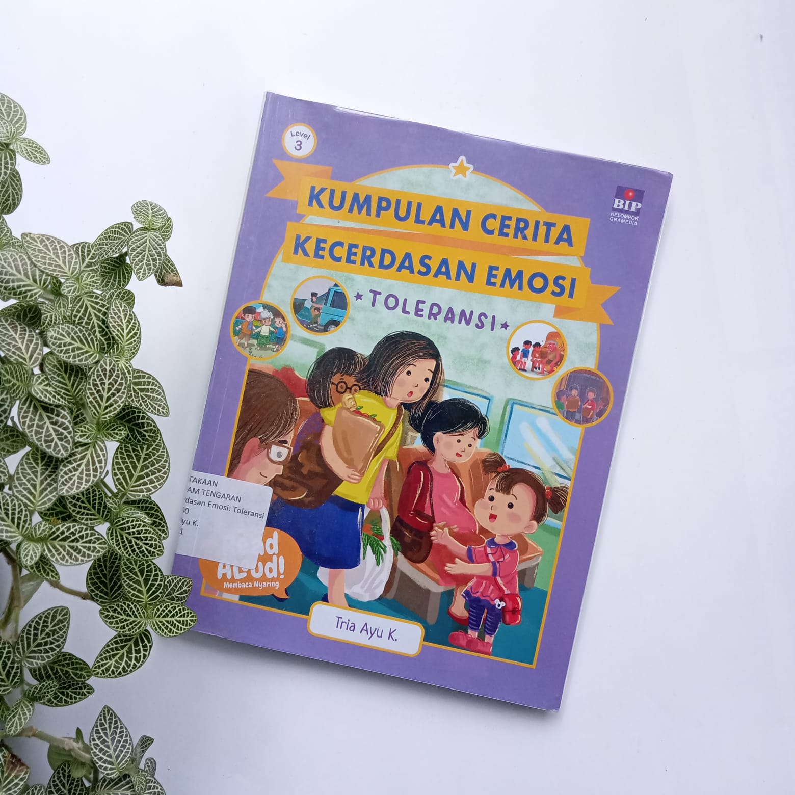 Sampul buku KUMPULAN CERITA : KECERDASAN EMOSI ,TOLERANSI