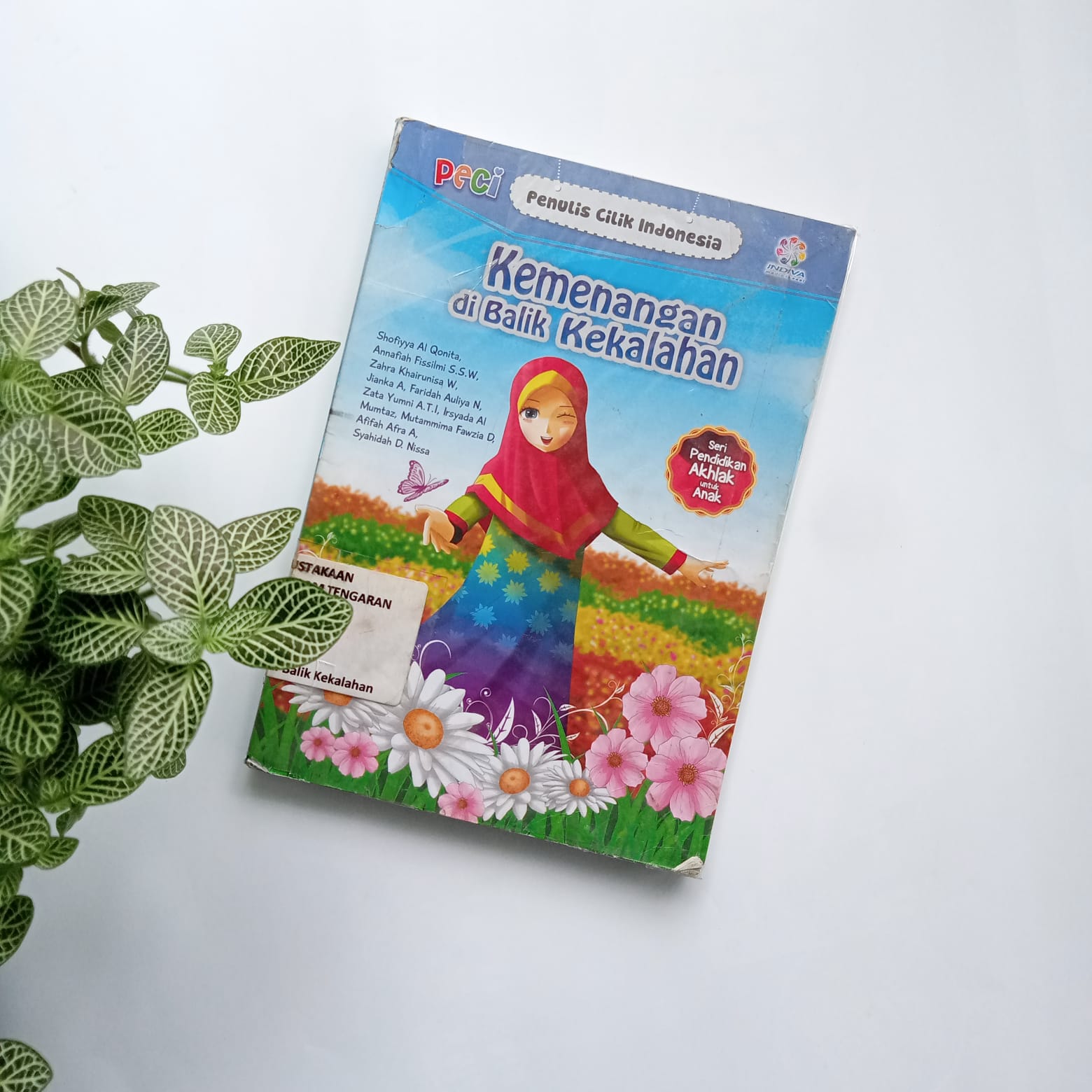 Sampul buku PECI : KEMENANGAN DIBALIK KEKALAHAN